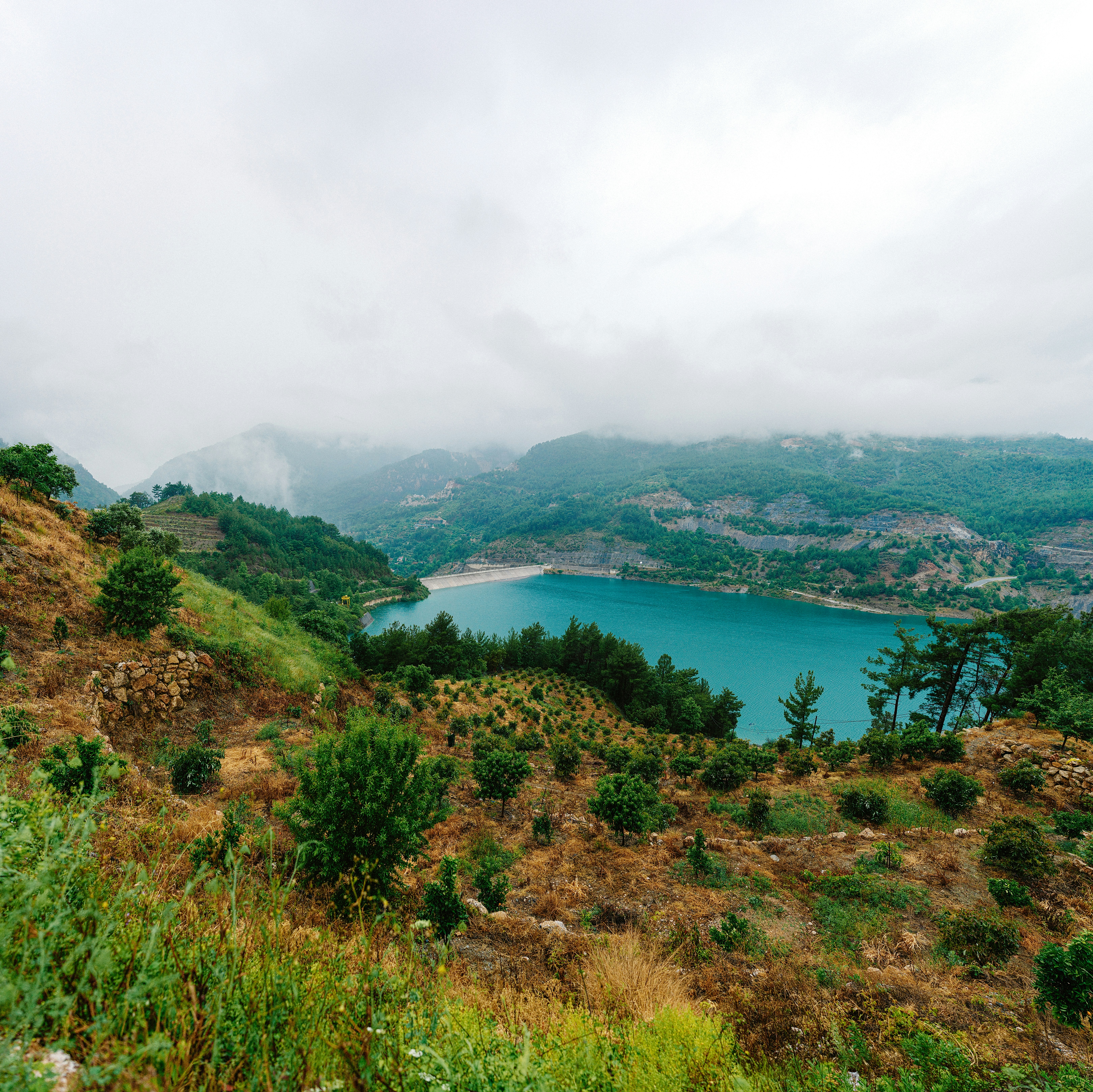 Photo by igorharrier