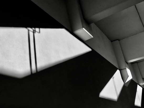 A black and white photo of the ceiling of a building