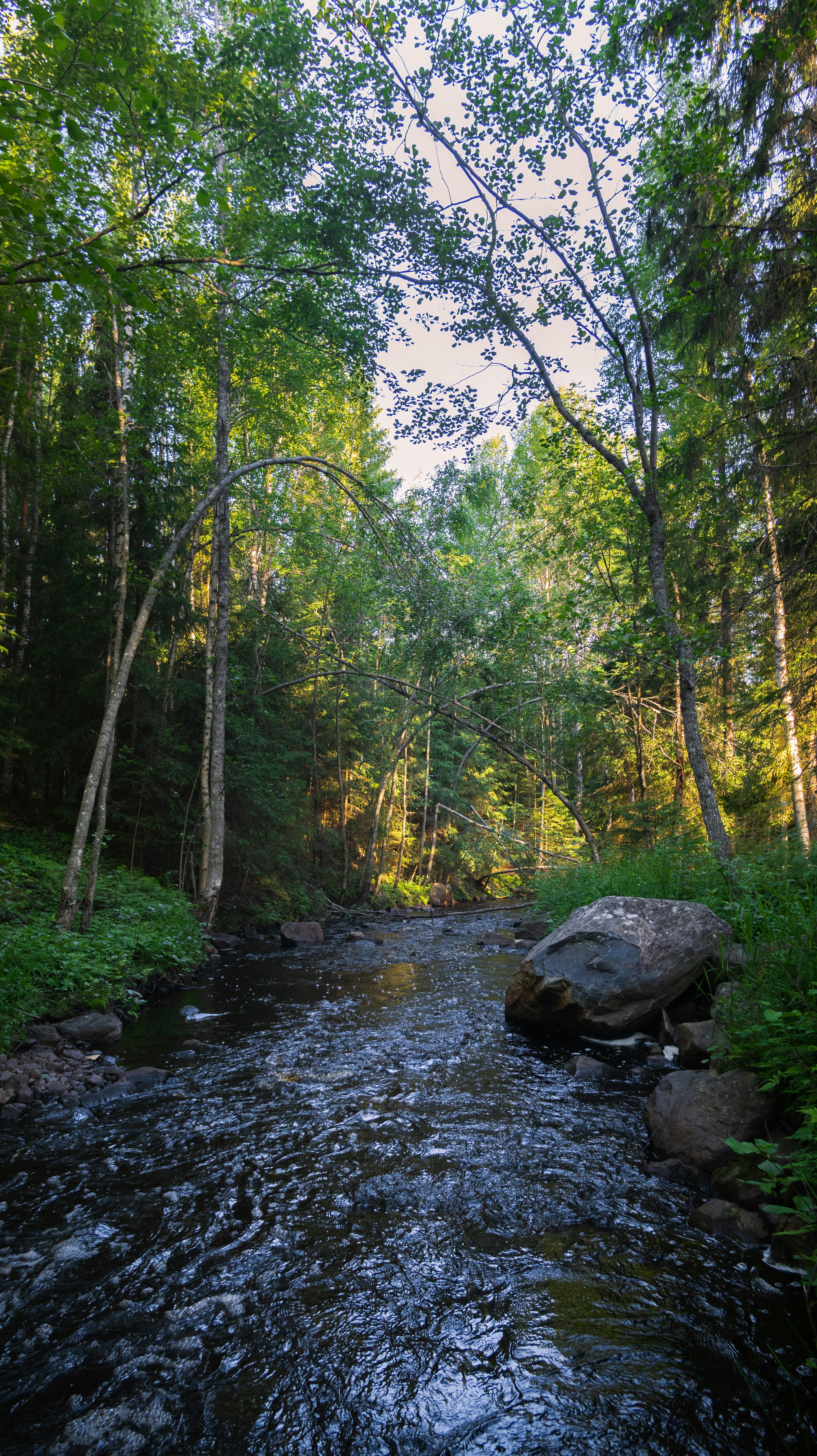 Photo by juho_aleksi_luomala