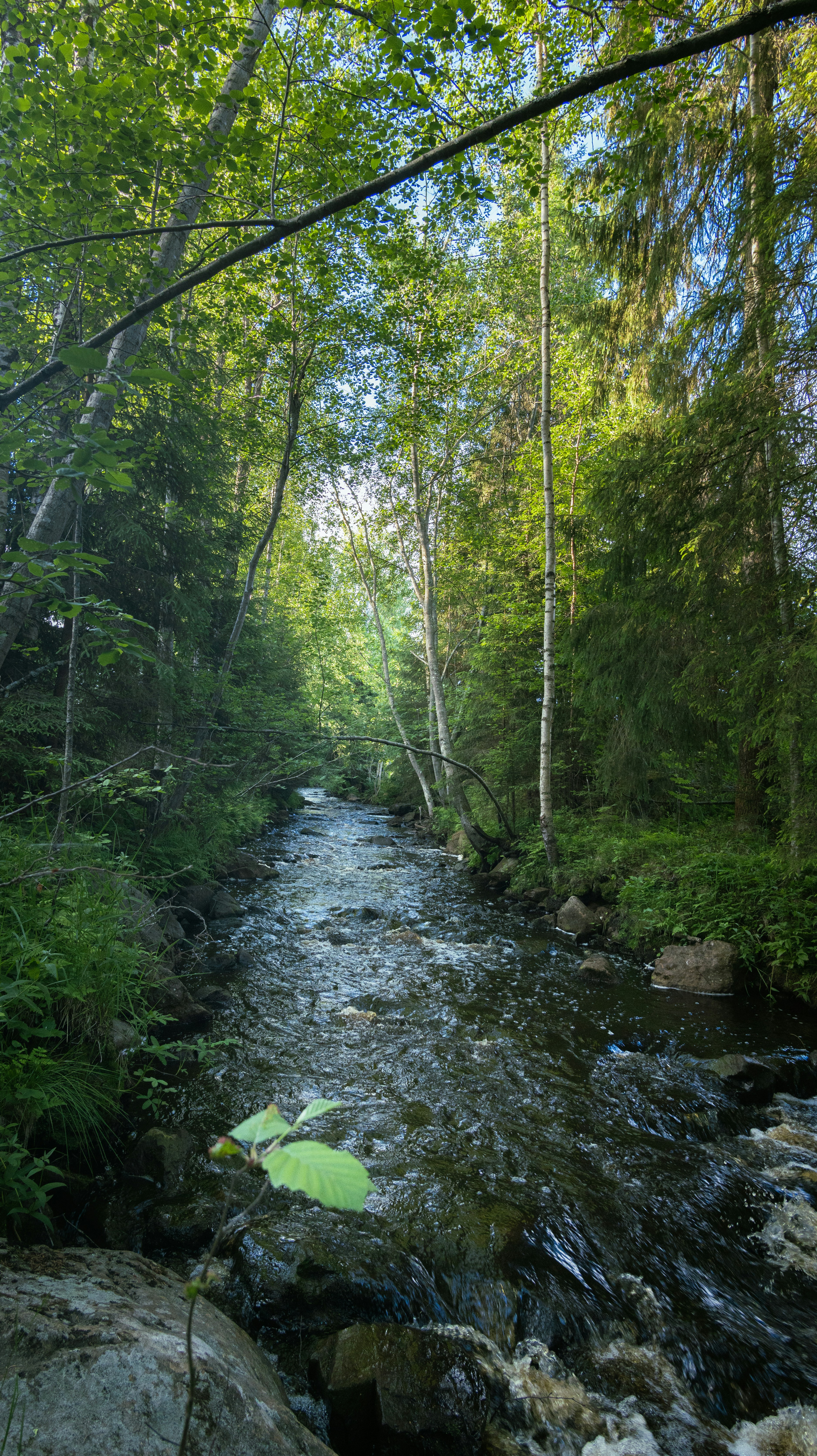 Photo by juho_aleksi_luomala