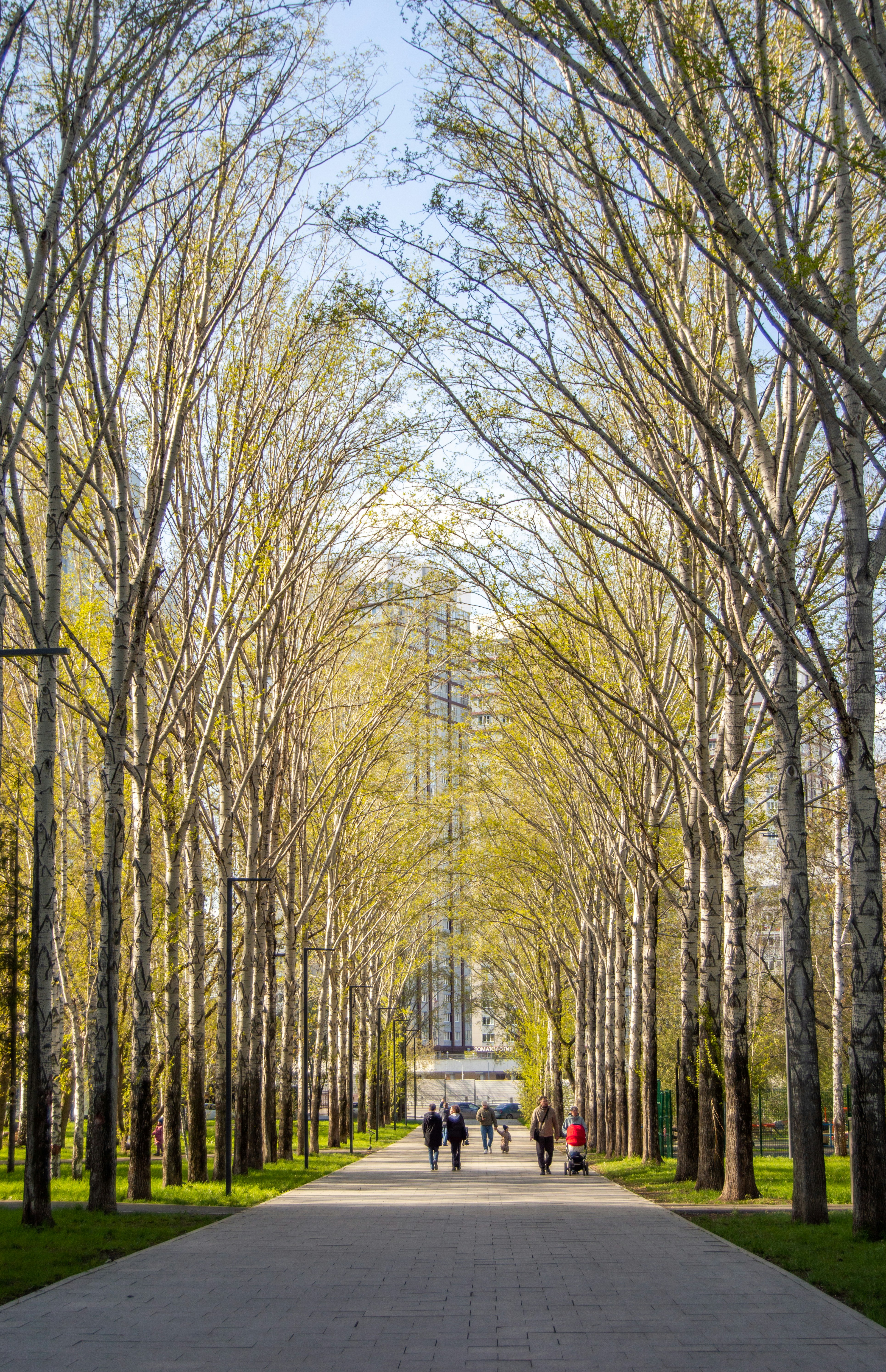 Photo by frosted_vulpes_ferrilata