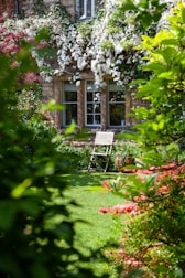 A chair sitting in the middle of a garden