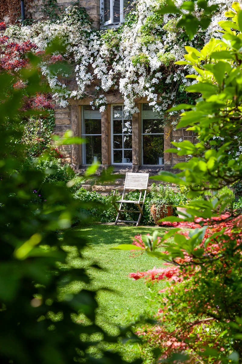 Garden chair among planted borders