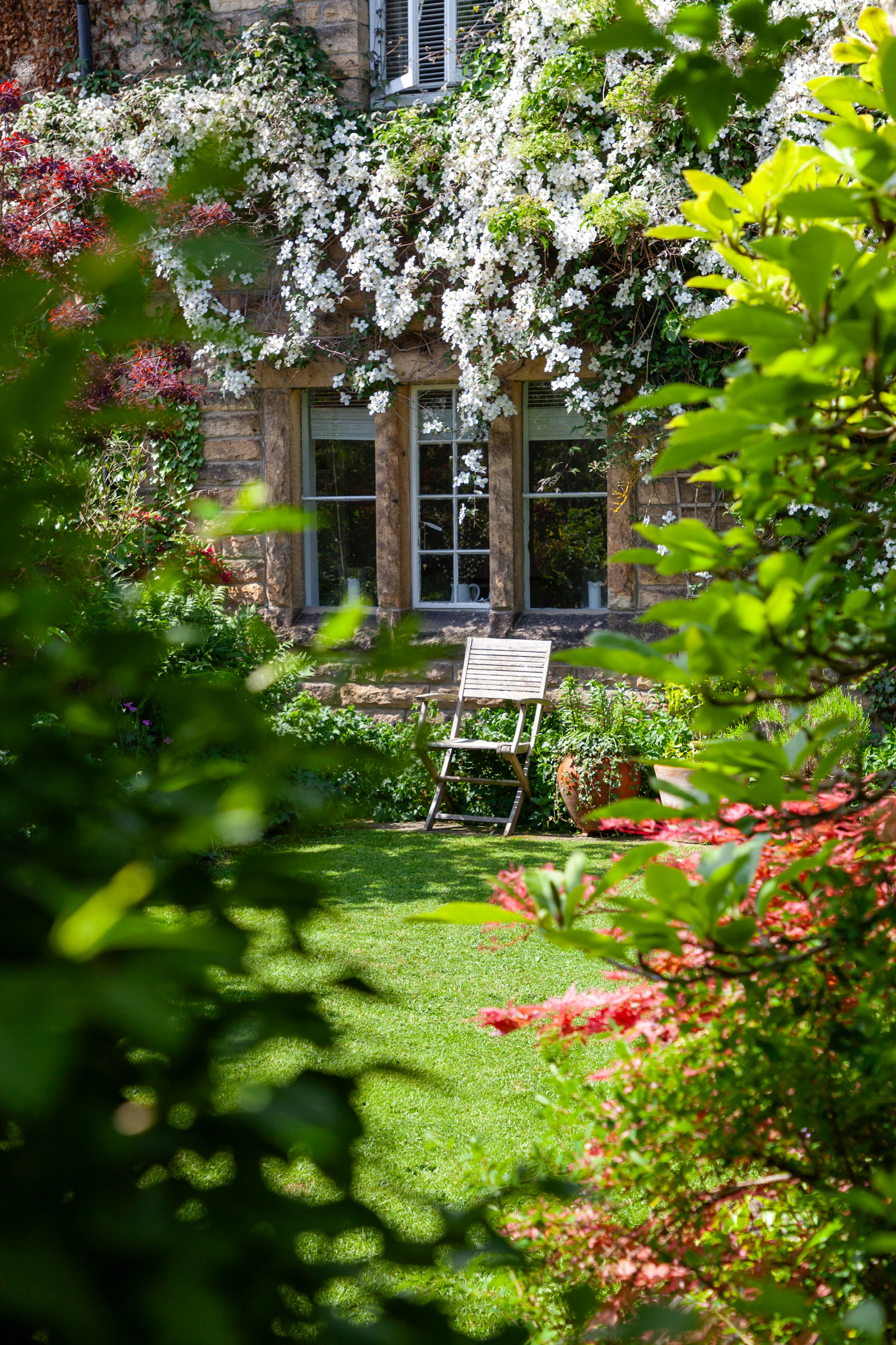 A resident’s garden in June, four years in