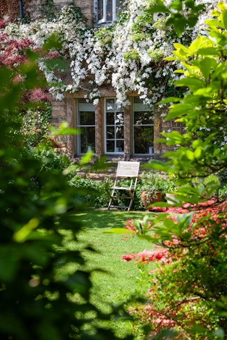 A chair sitting in the middle of a garden