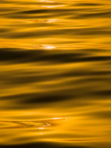 A yellow and black photo of the sun reflecting on the water