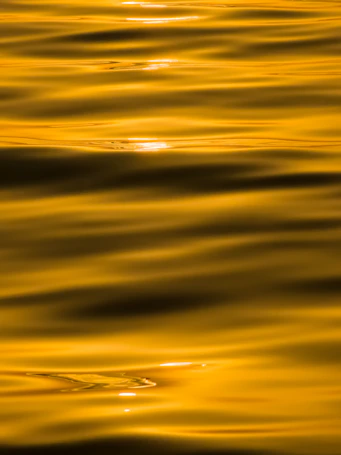 A yellow and black photo of the sun reflecting on the water