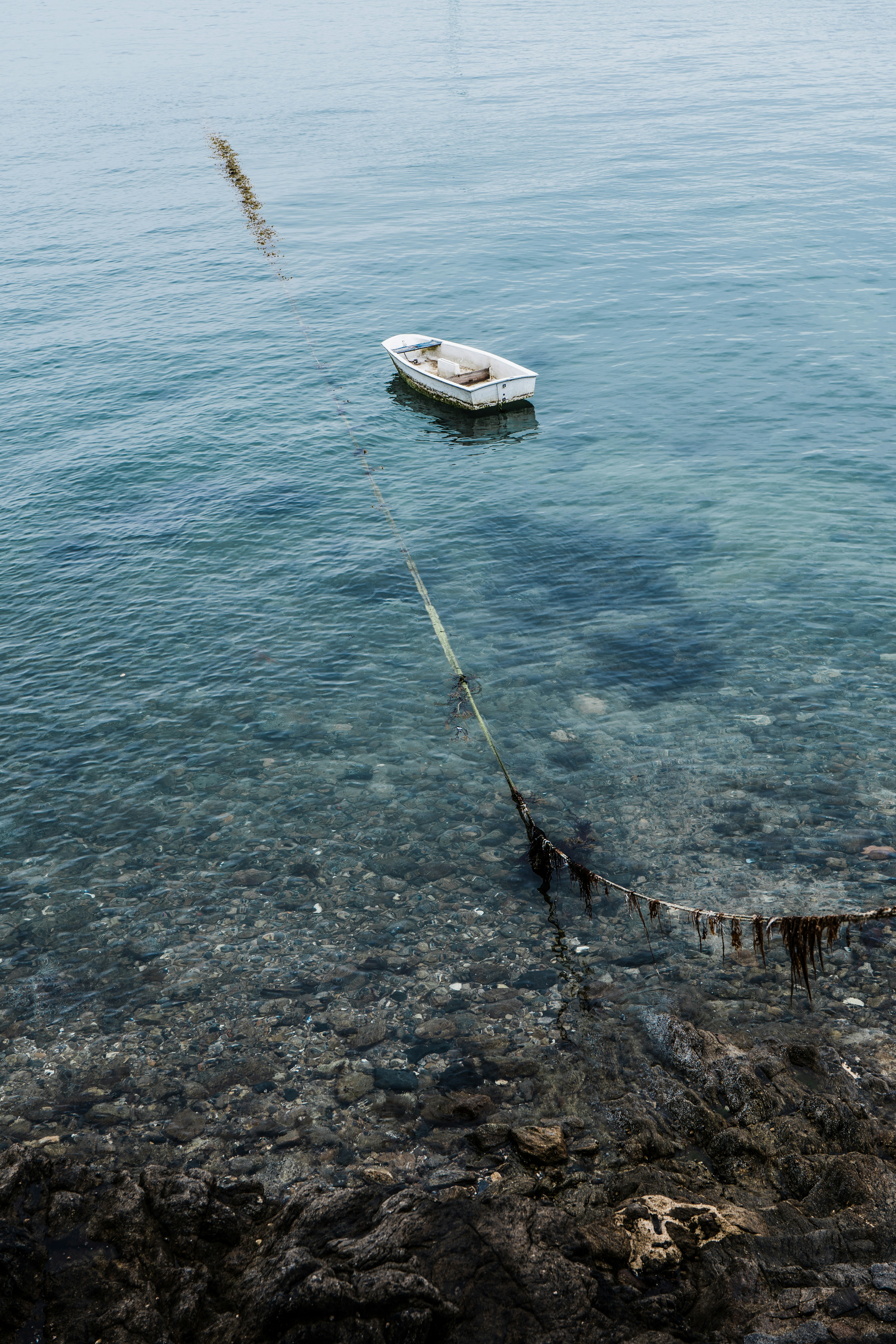 Photo by lesturge