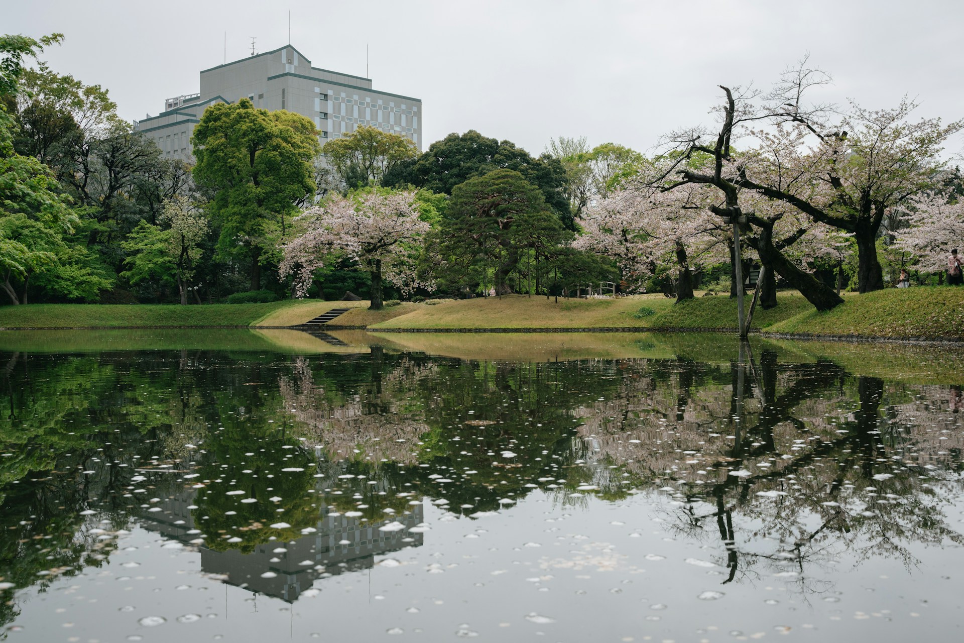 A lake surrounded by trees with a building in the background