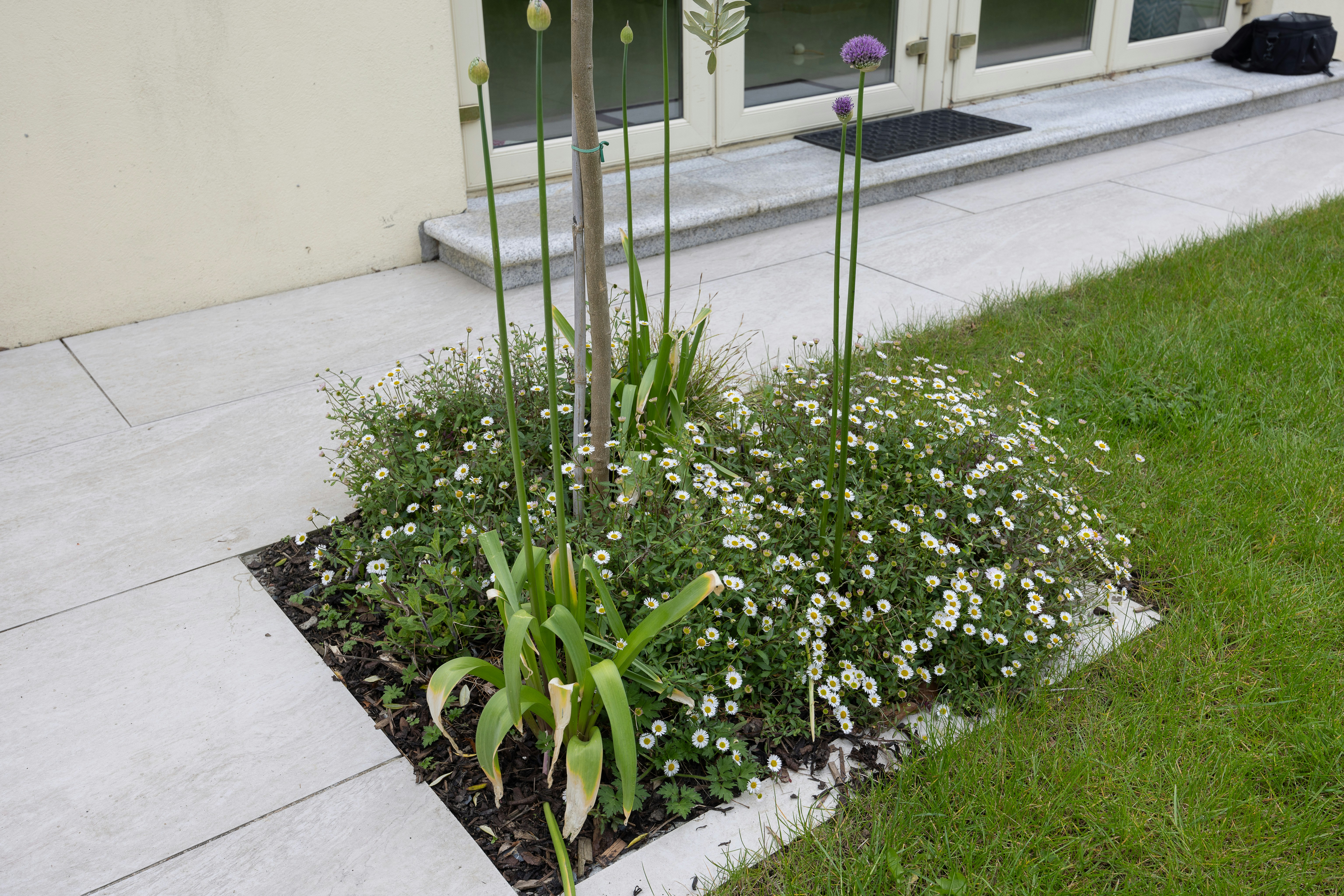 A flower bed in front of a house