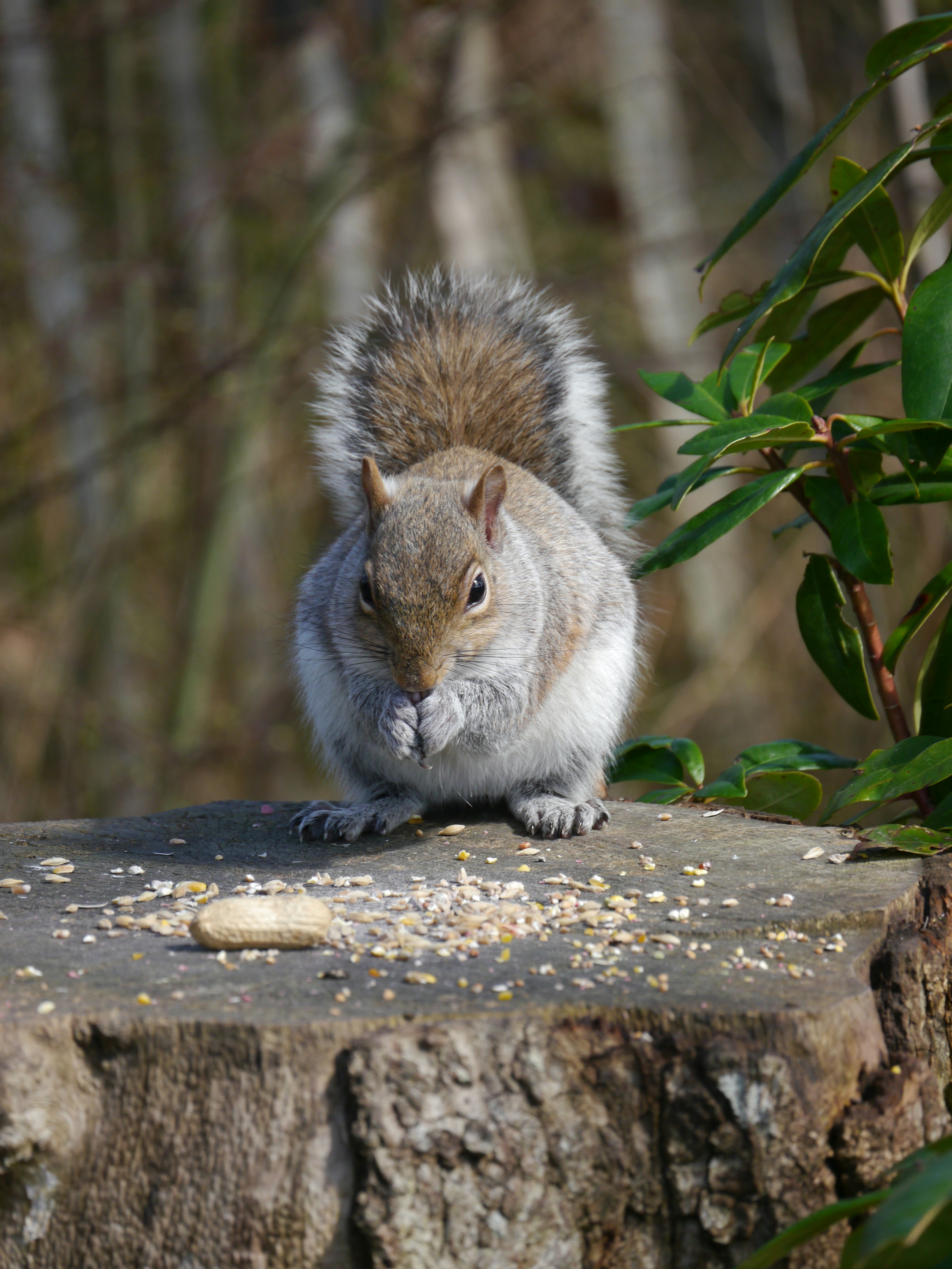 Photo by iqsphotography