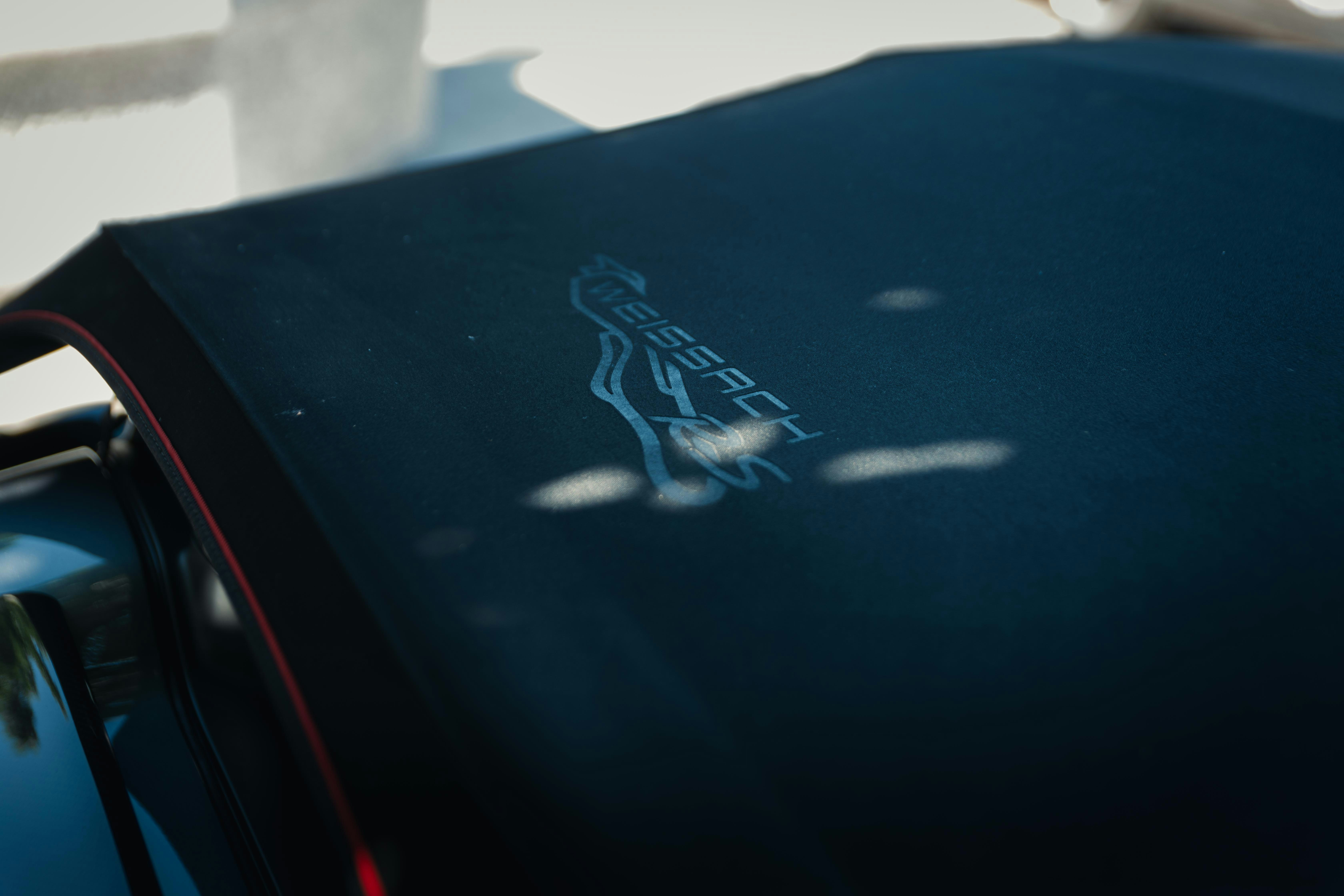 A bird sitting on the hood of a car