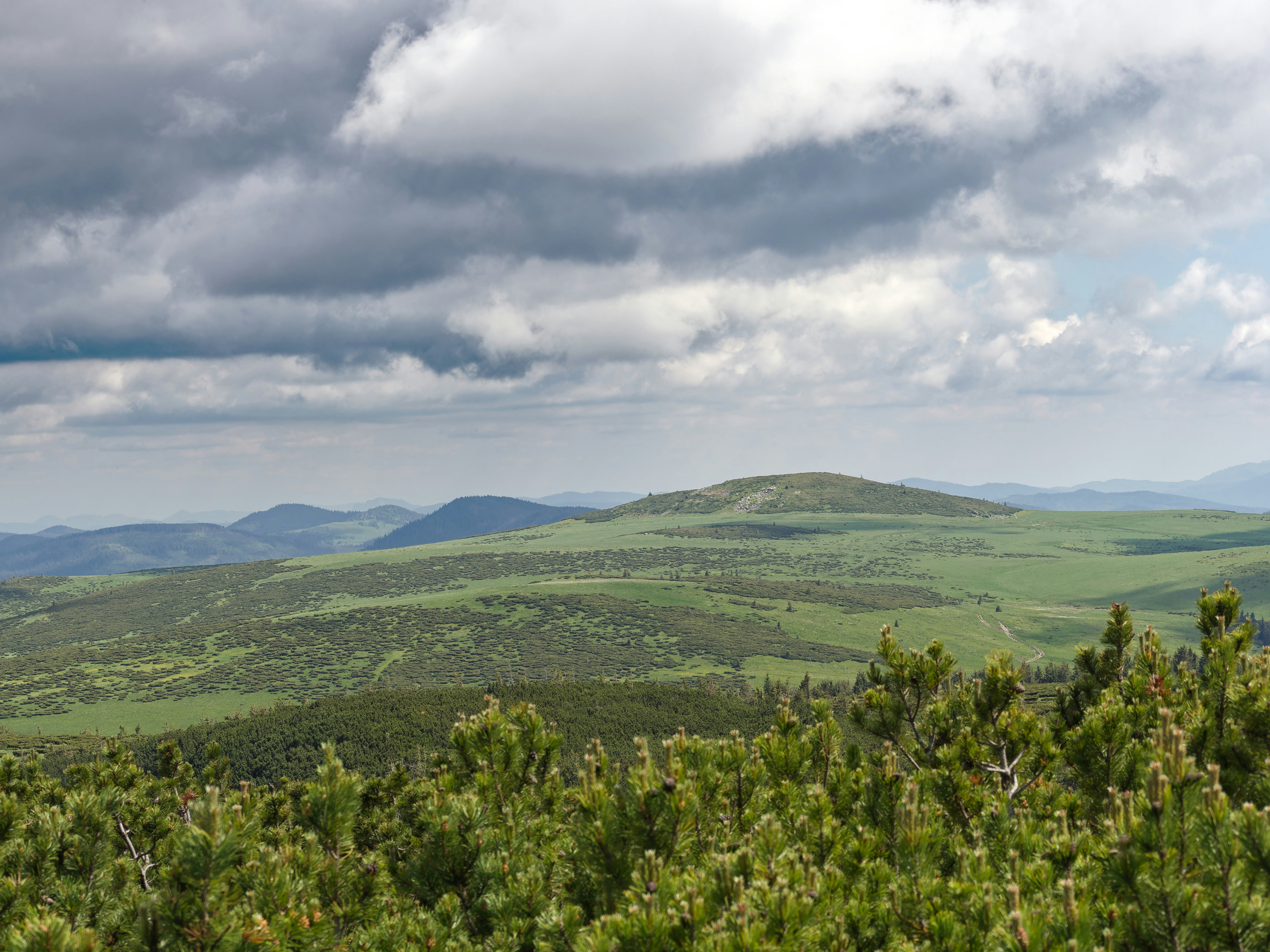 Photo by illes_cristi