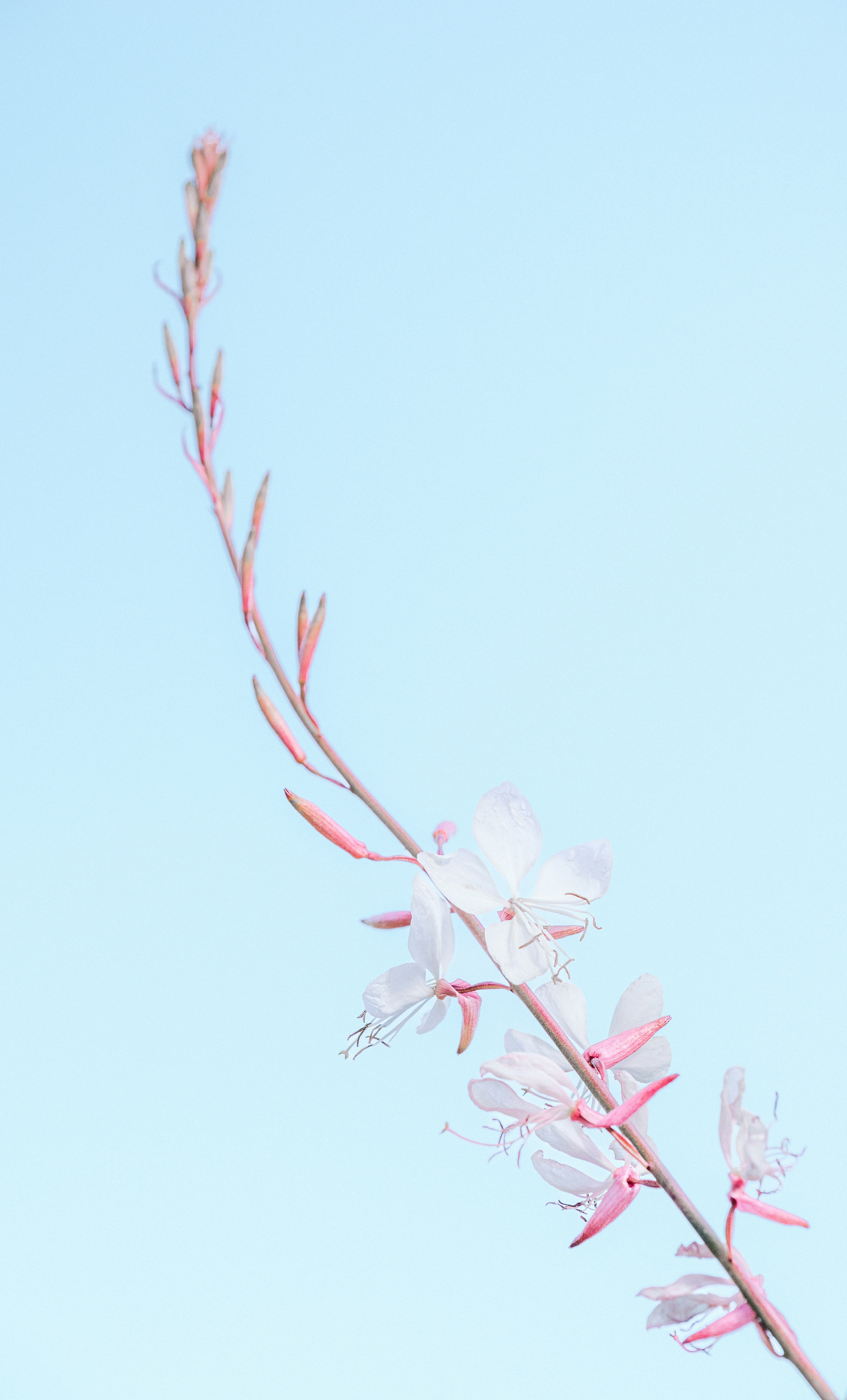 Photo by jetztabertempo