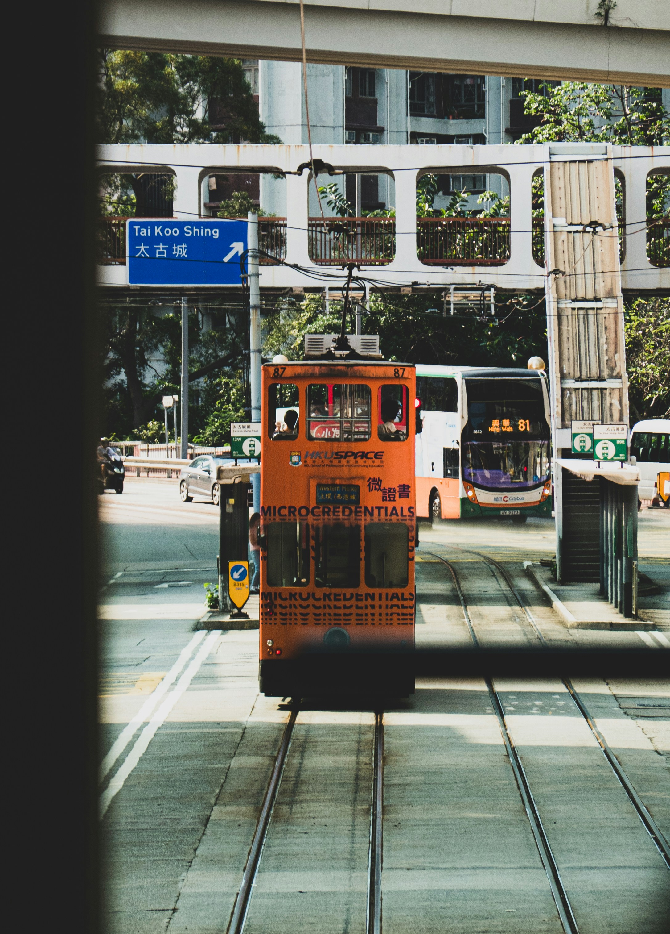 Photo by offline1993