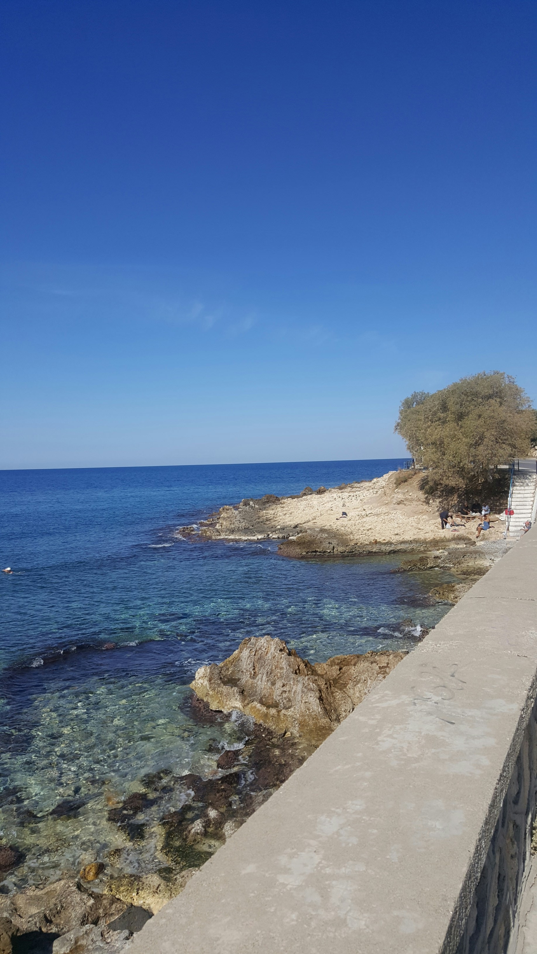 Photo by entrenous_at