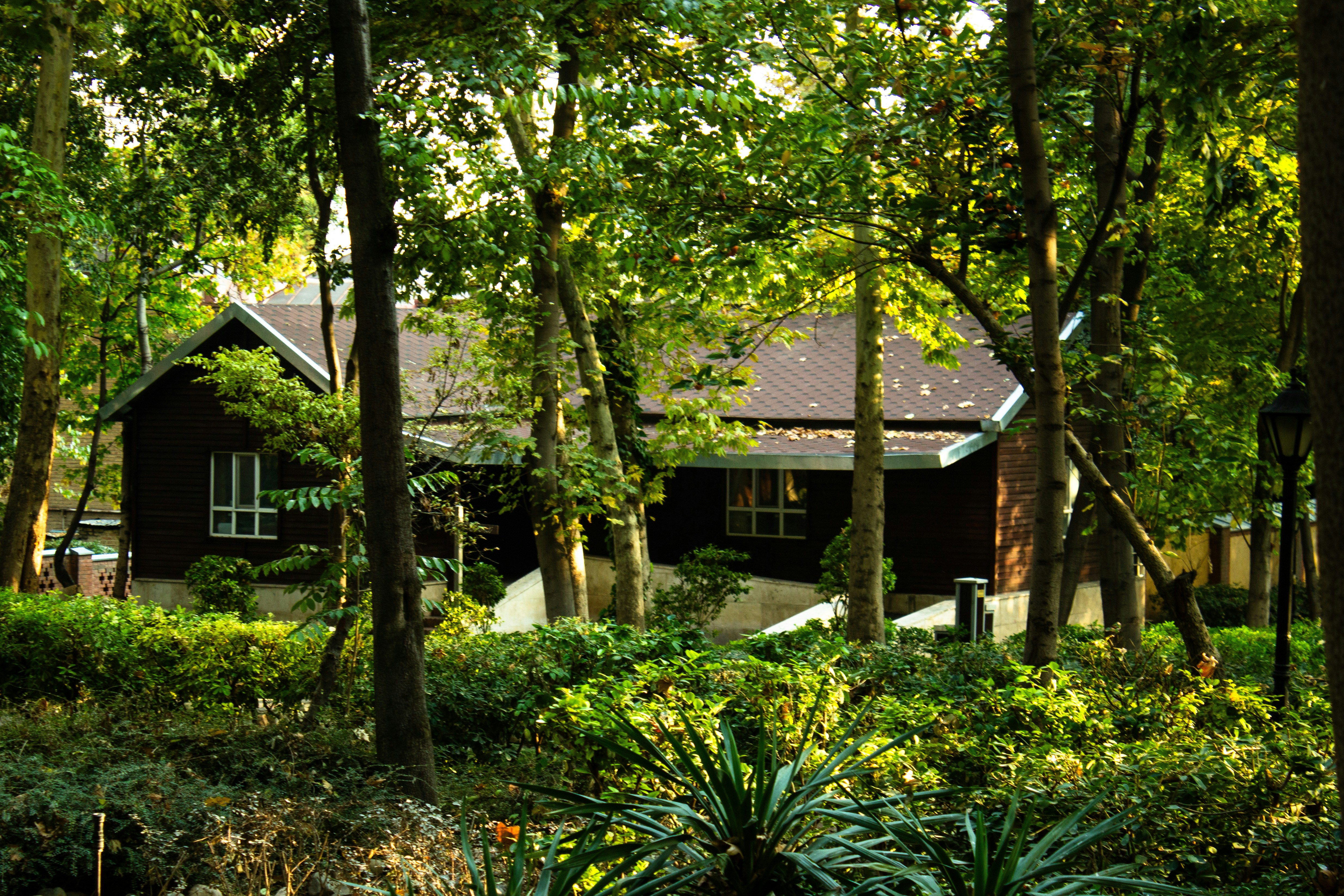 Photo by elham_frame