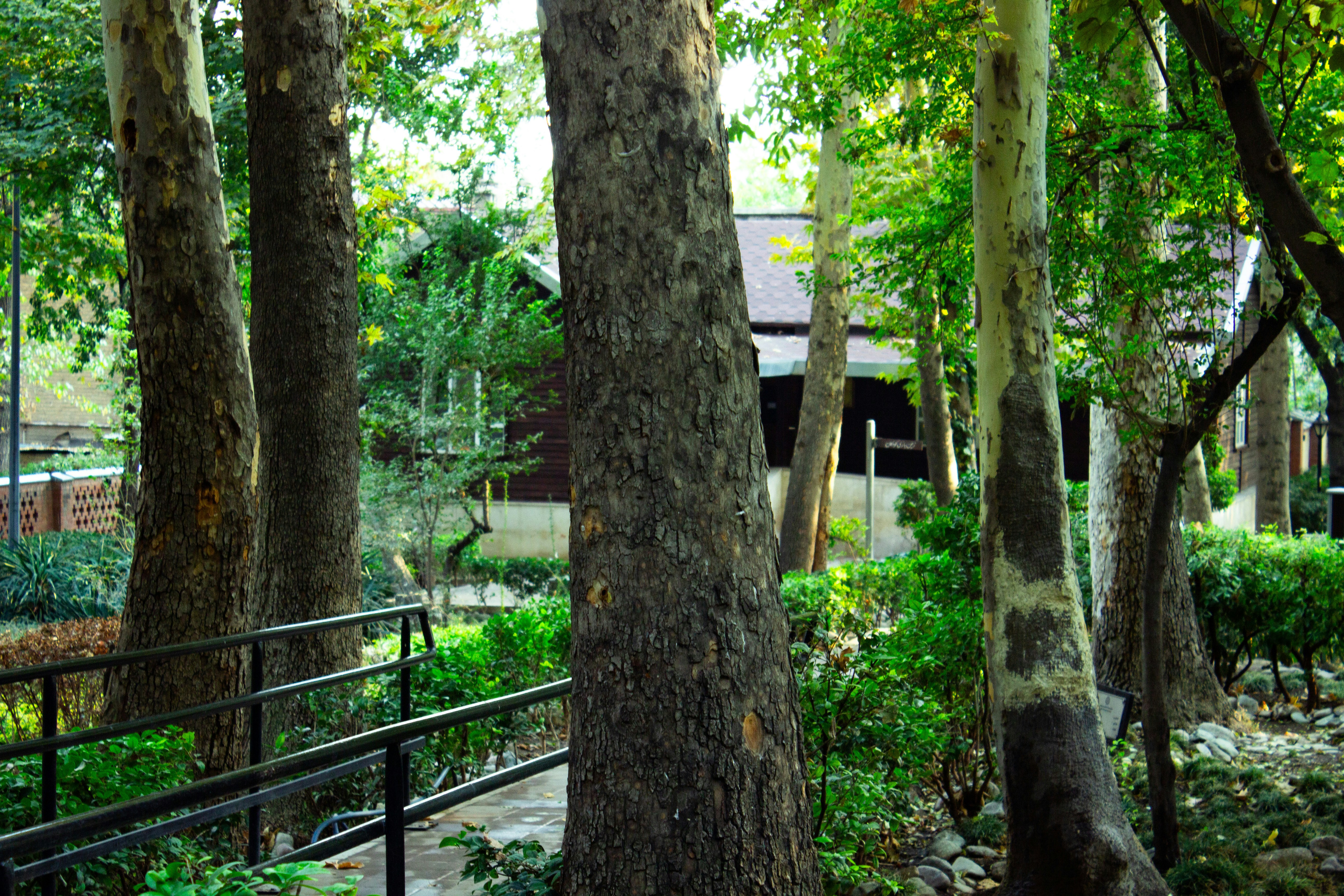 Photo by elham_frame