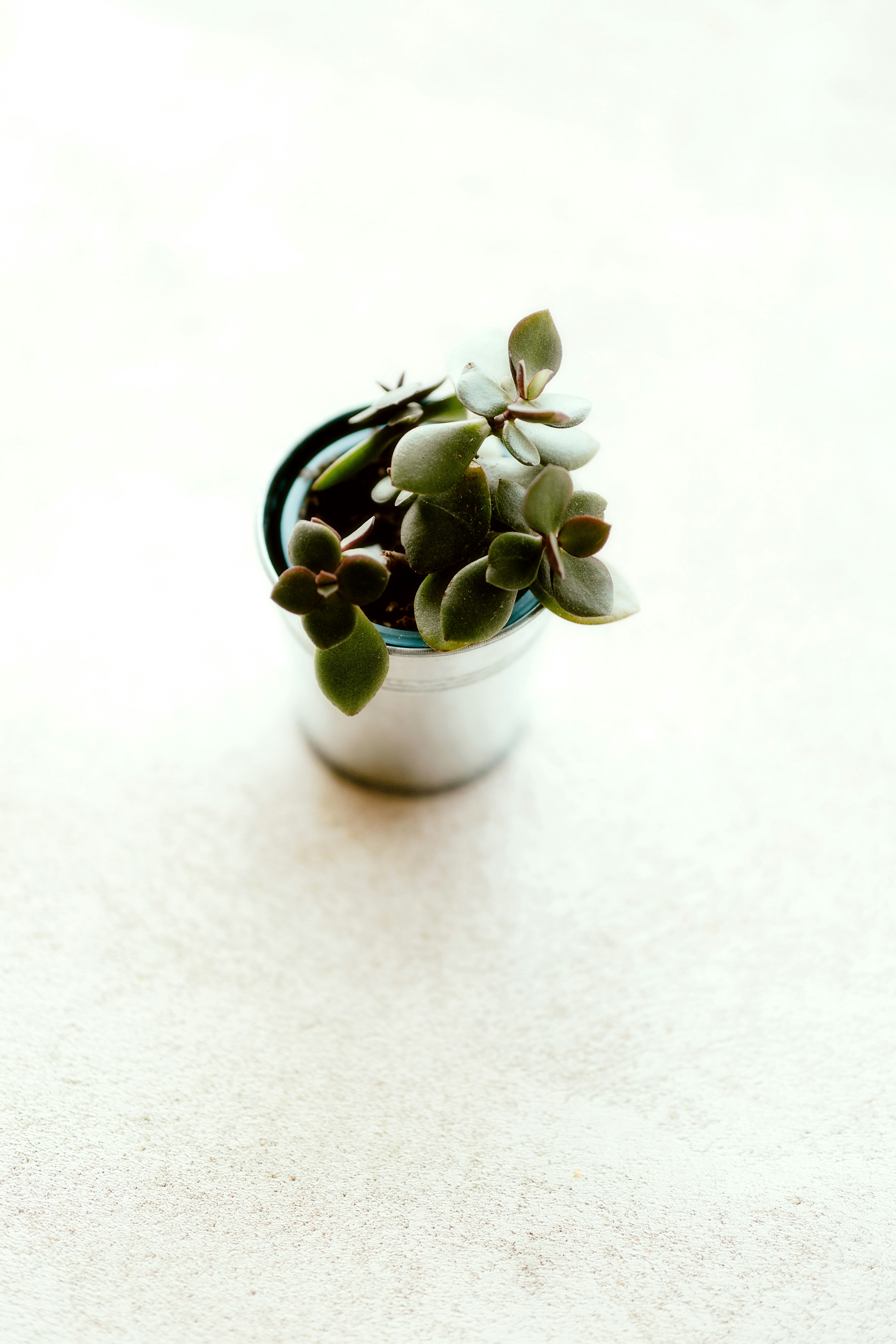 Photo by alingavriliuc