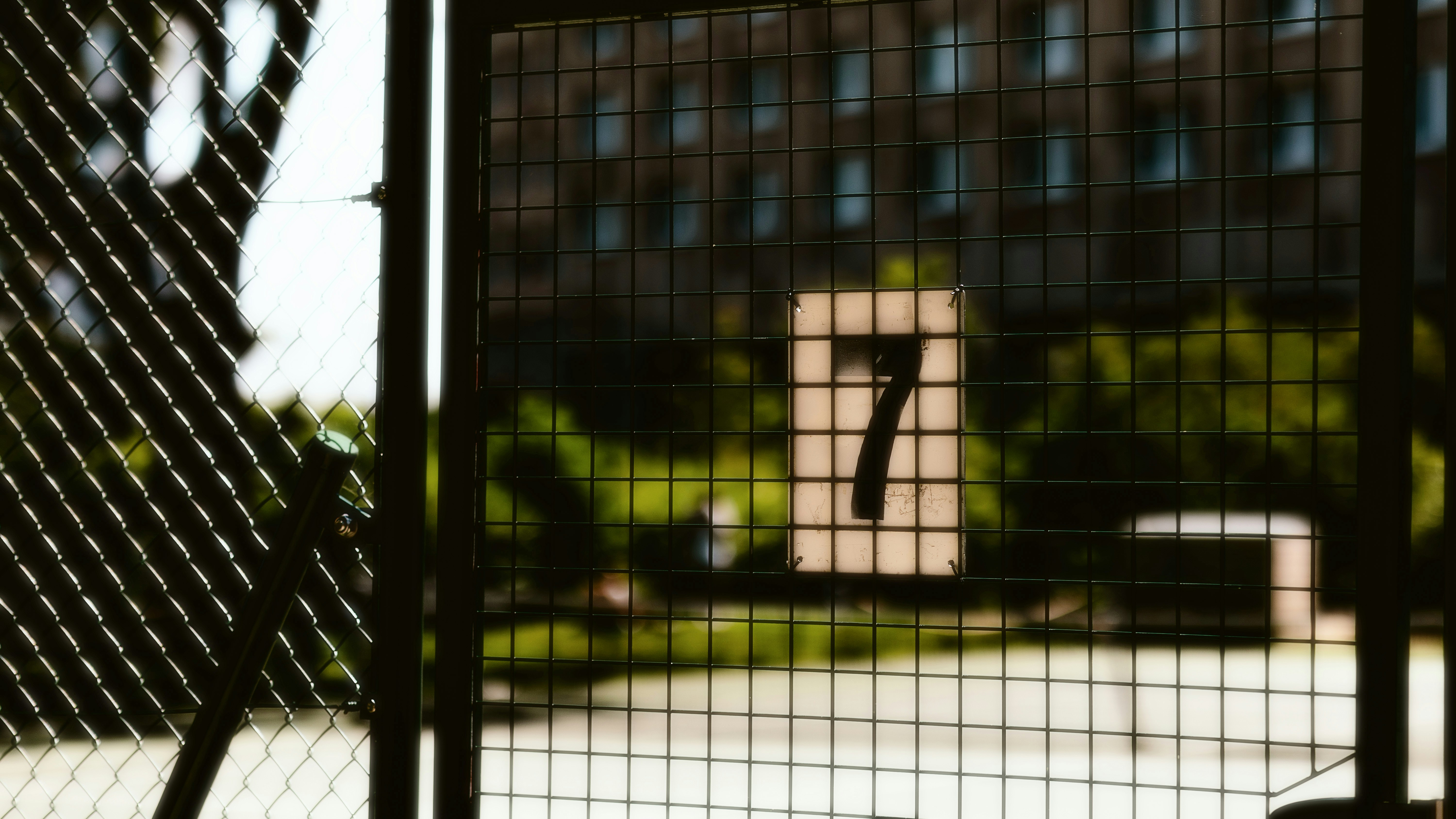 Photo by alingavriliuc