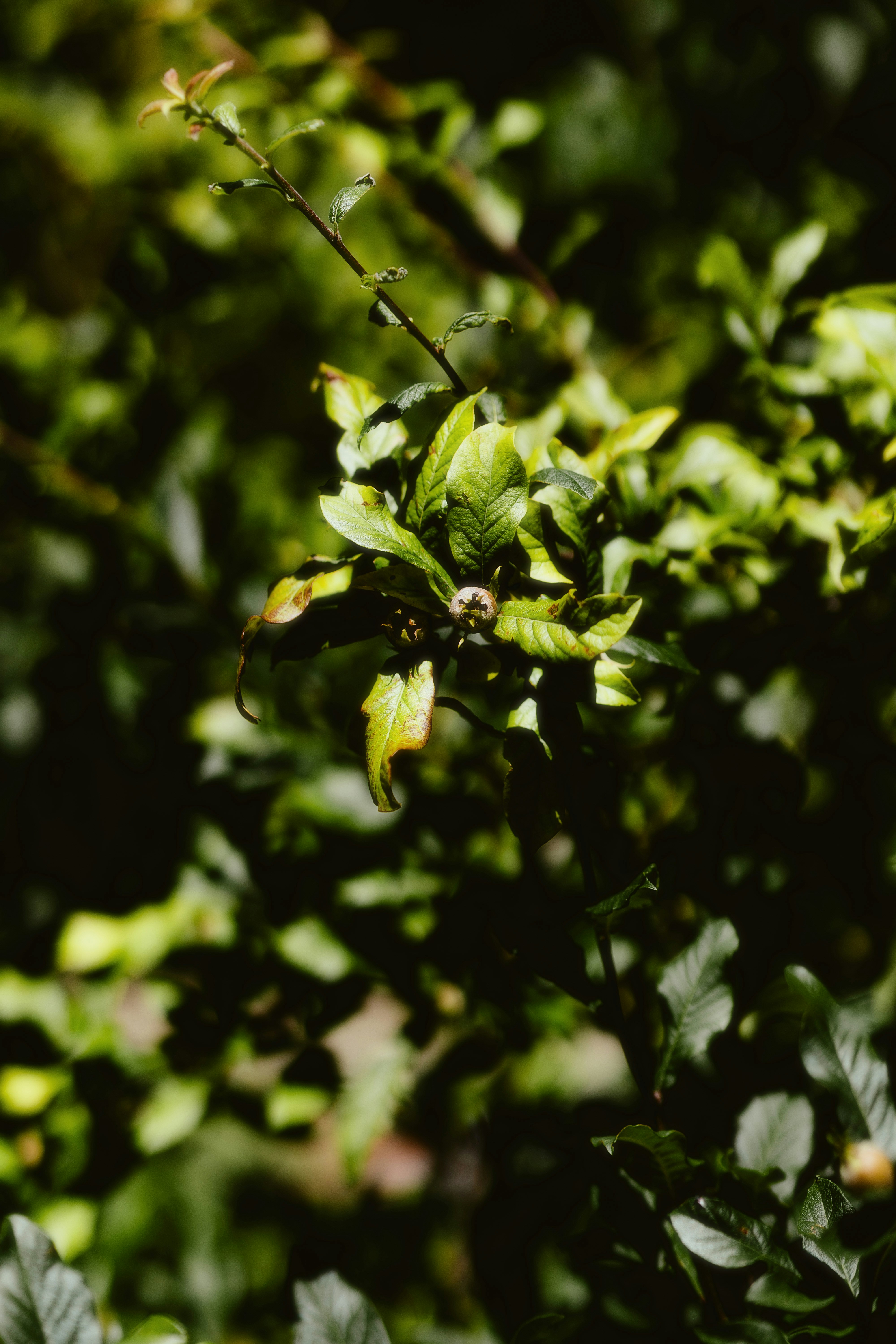 Photo by alingavriliuc