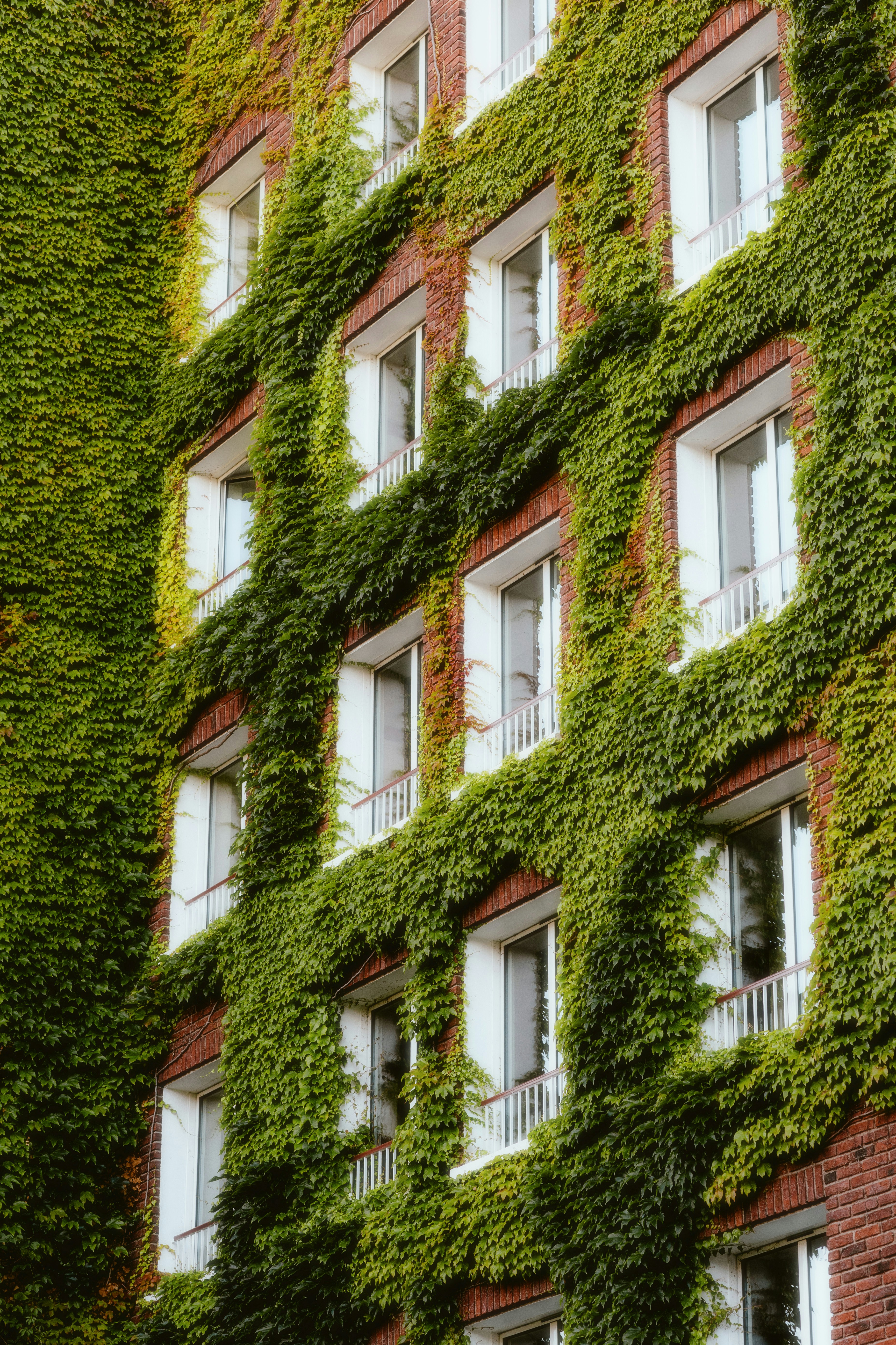 Photo by alingavriliuc