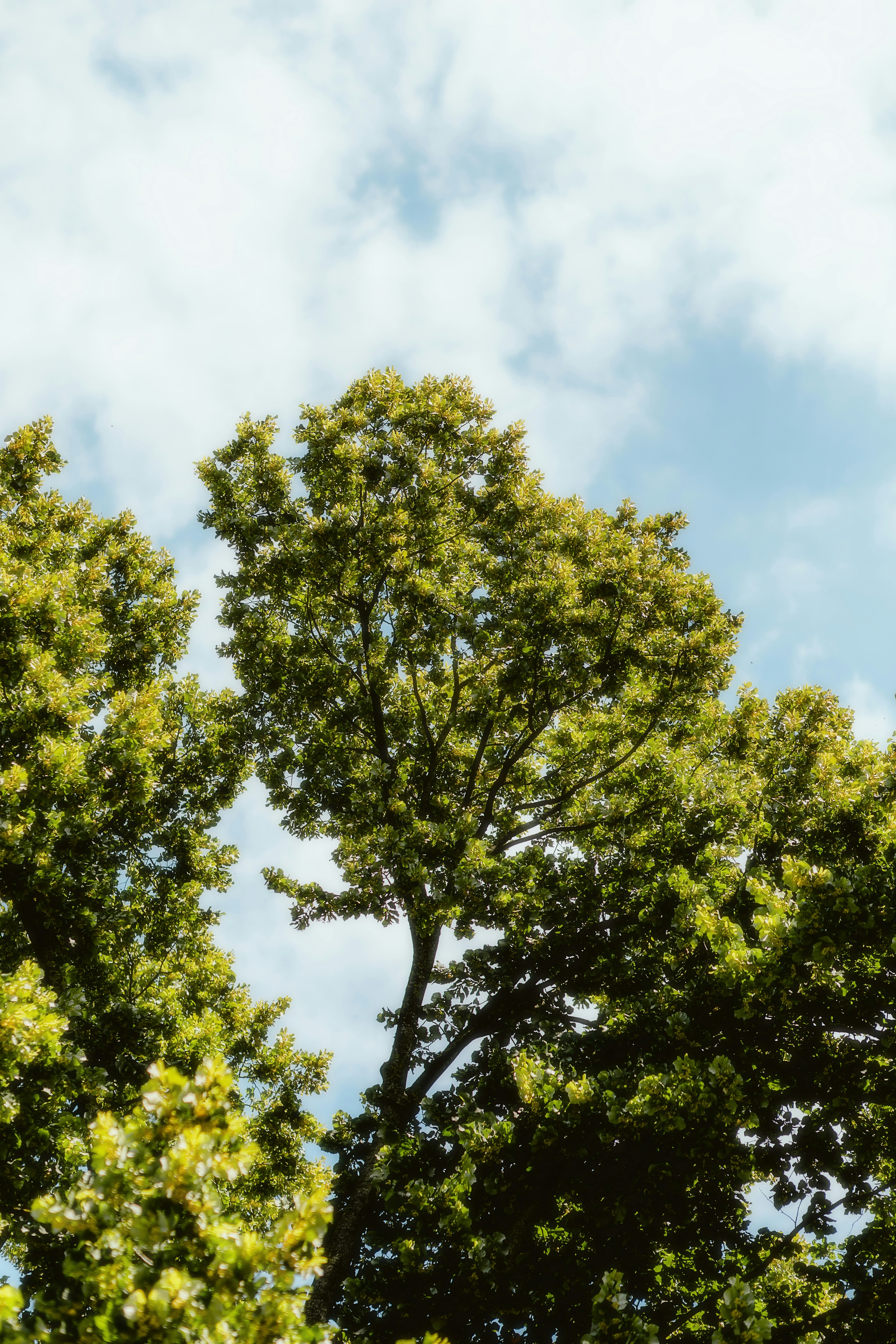 Photo by alingavriliuc