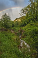 ruisseau qui coule le long d'une colline