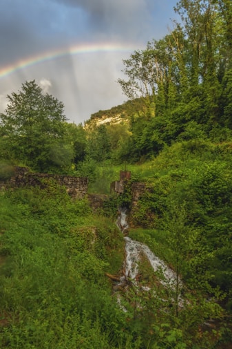 ruisseau qui coule le long d'une colline