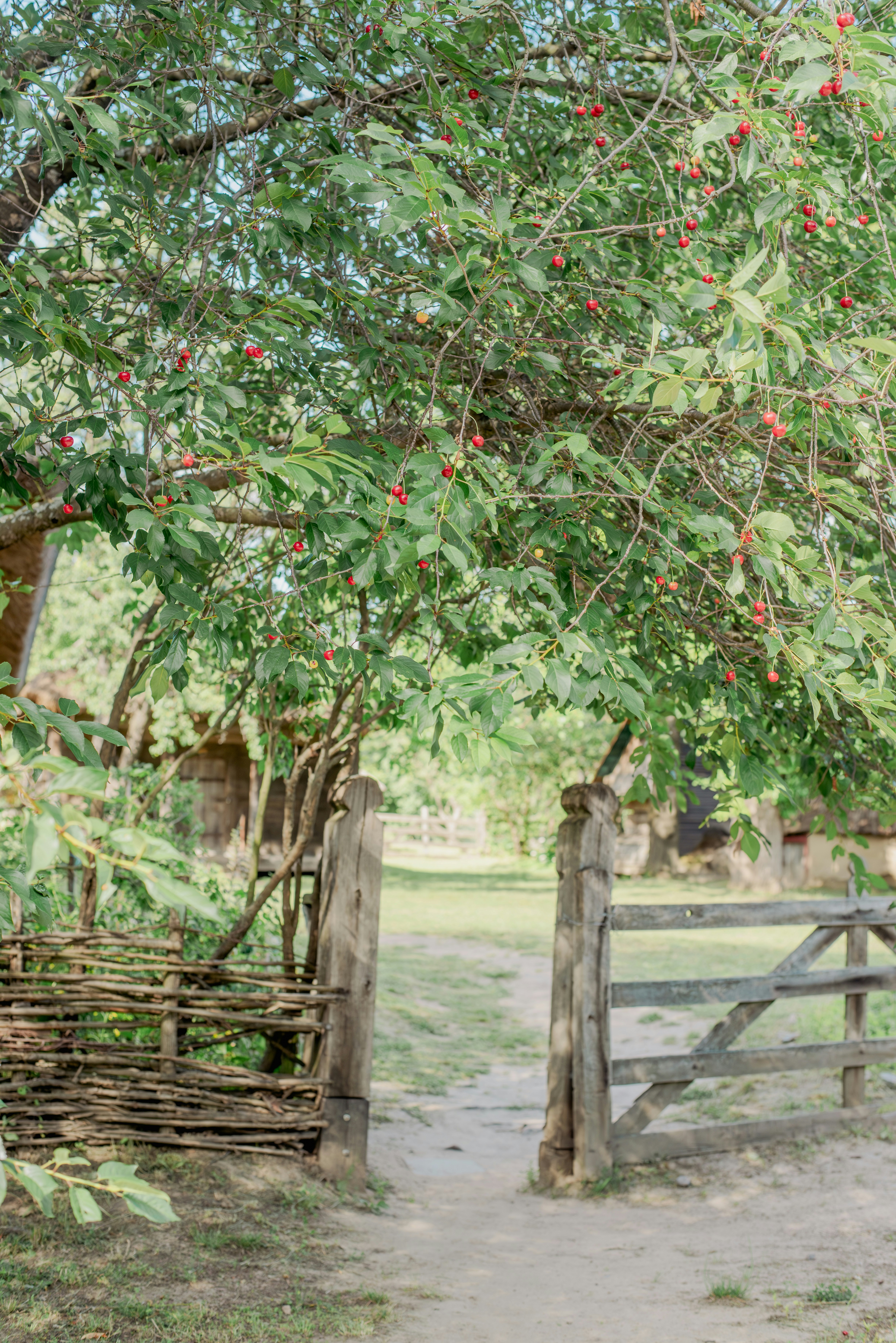 Photo by eugenivy_now