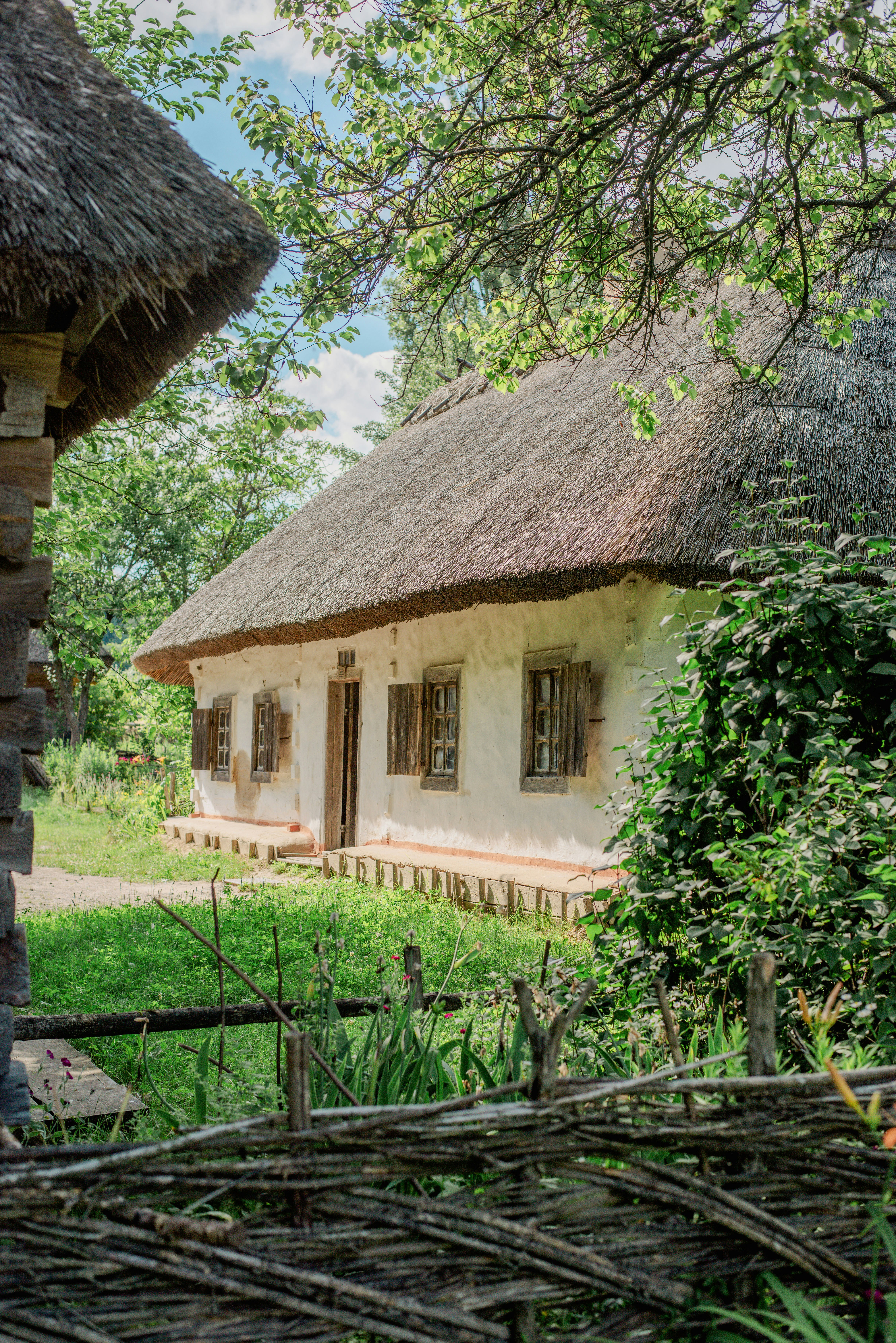 Photo by eugenivy_now