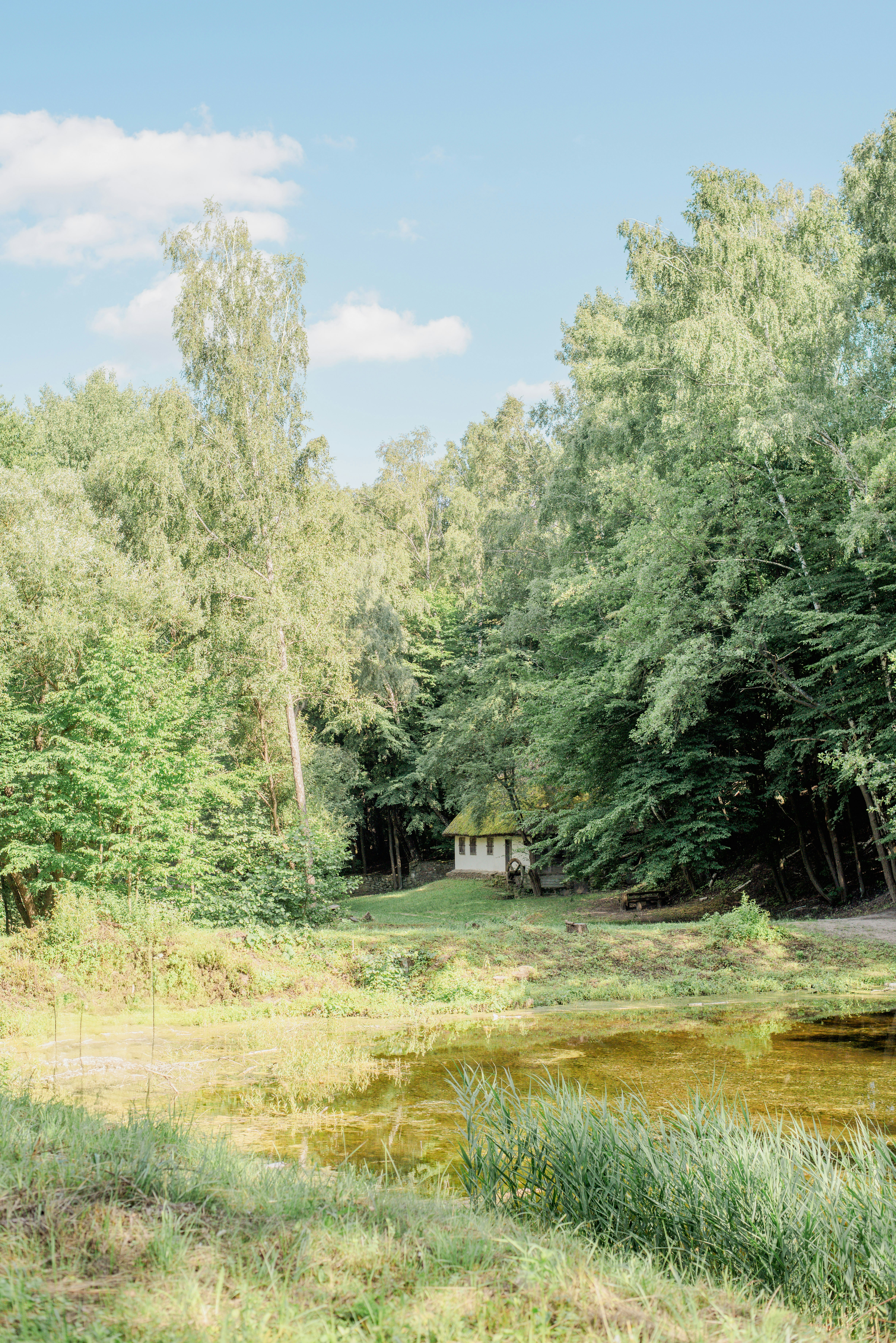 Photo by eugenivy_now