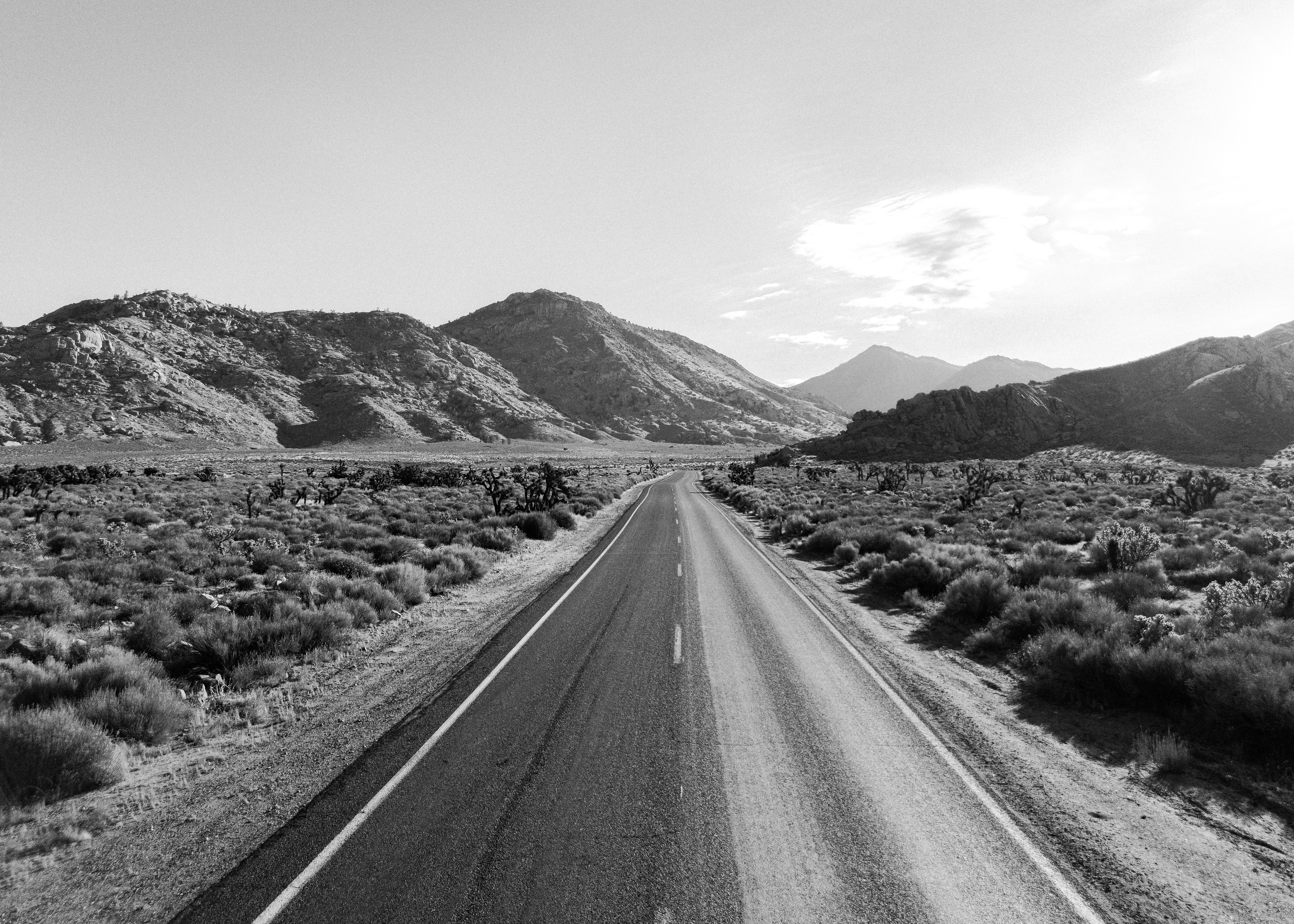 photo 1719333203673 01b35dd11475?crop=entropy&cs=tinysrgb&fit=max&fm=jpg&ixid=M3w1MjQ0NjR8MHwxfHNlYXJjaHw2fHxEcm9uZSUyMGFydHxlbnwwfDB8fHwxNzQzMDUzNjQwfDA&ixlib=rb 4.0