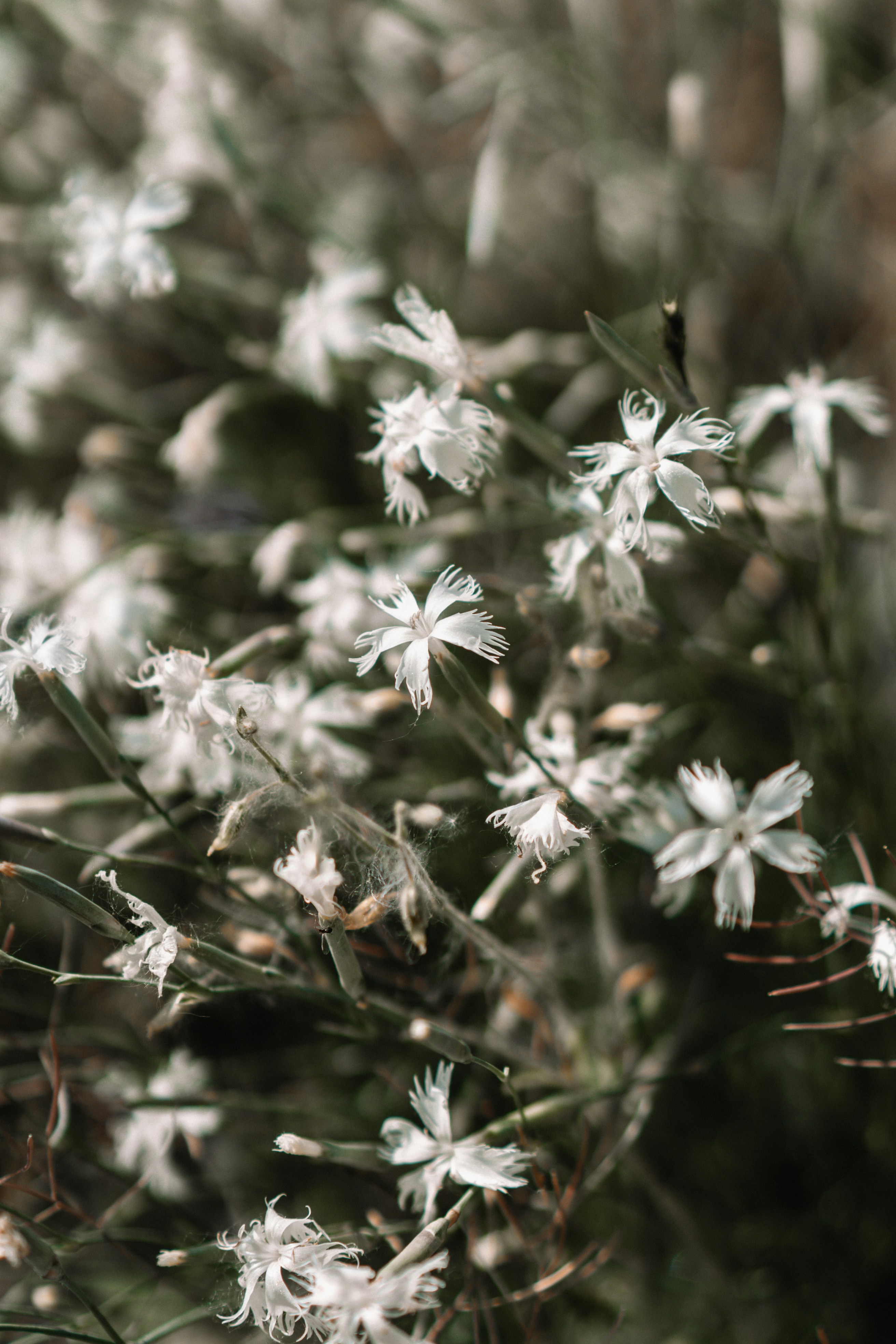 Photo by anamnesis33