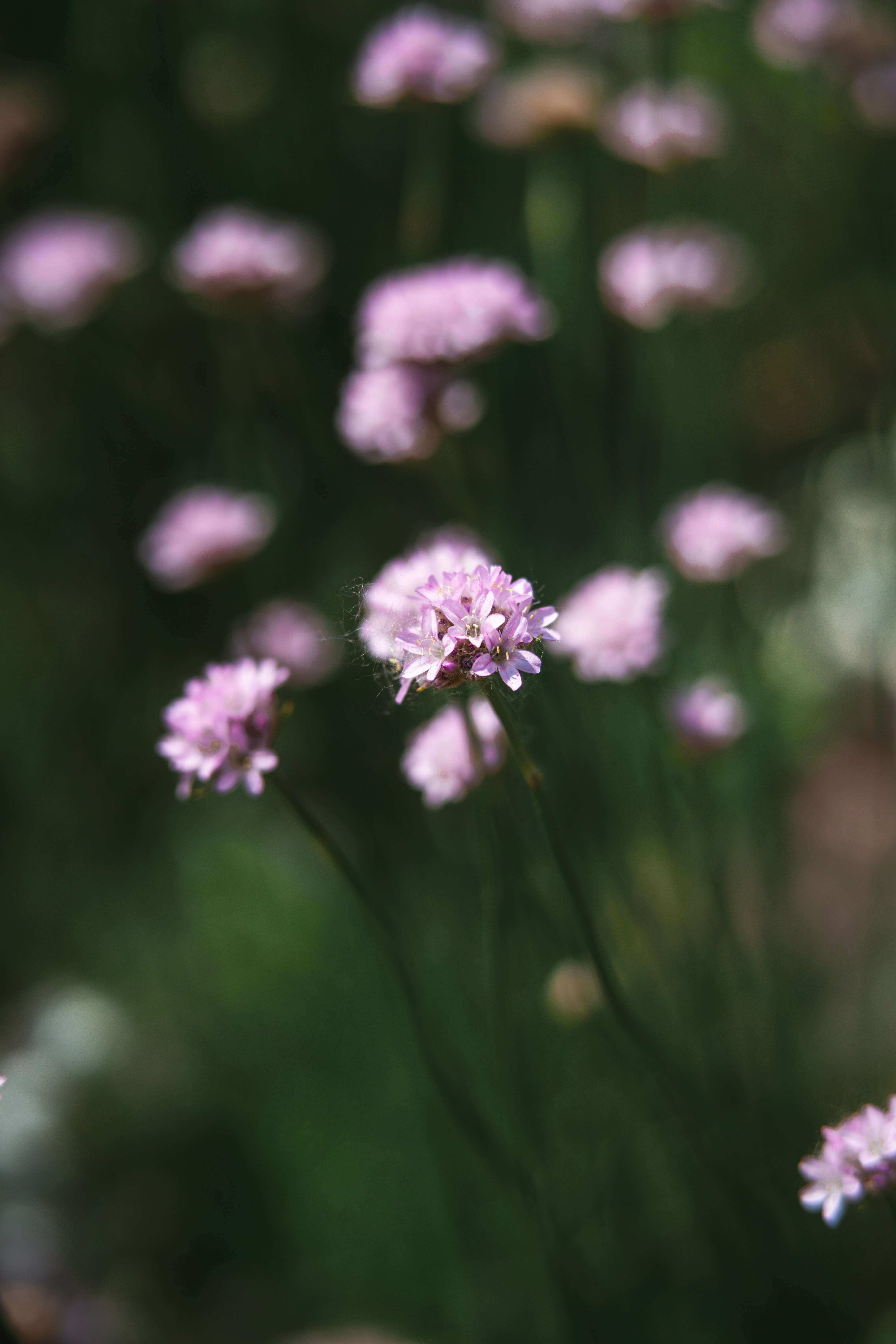 Photo by anamnesis33