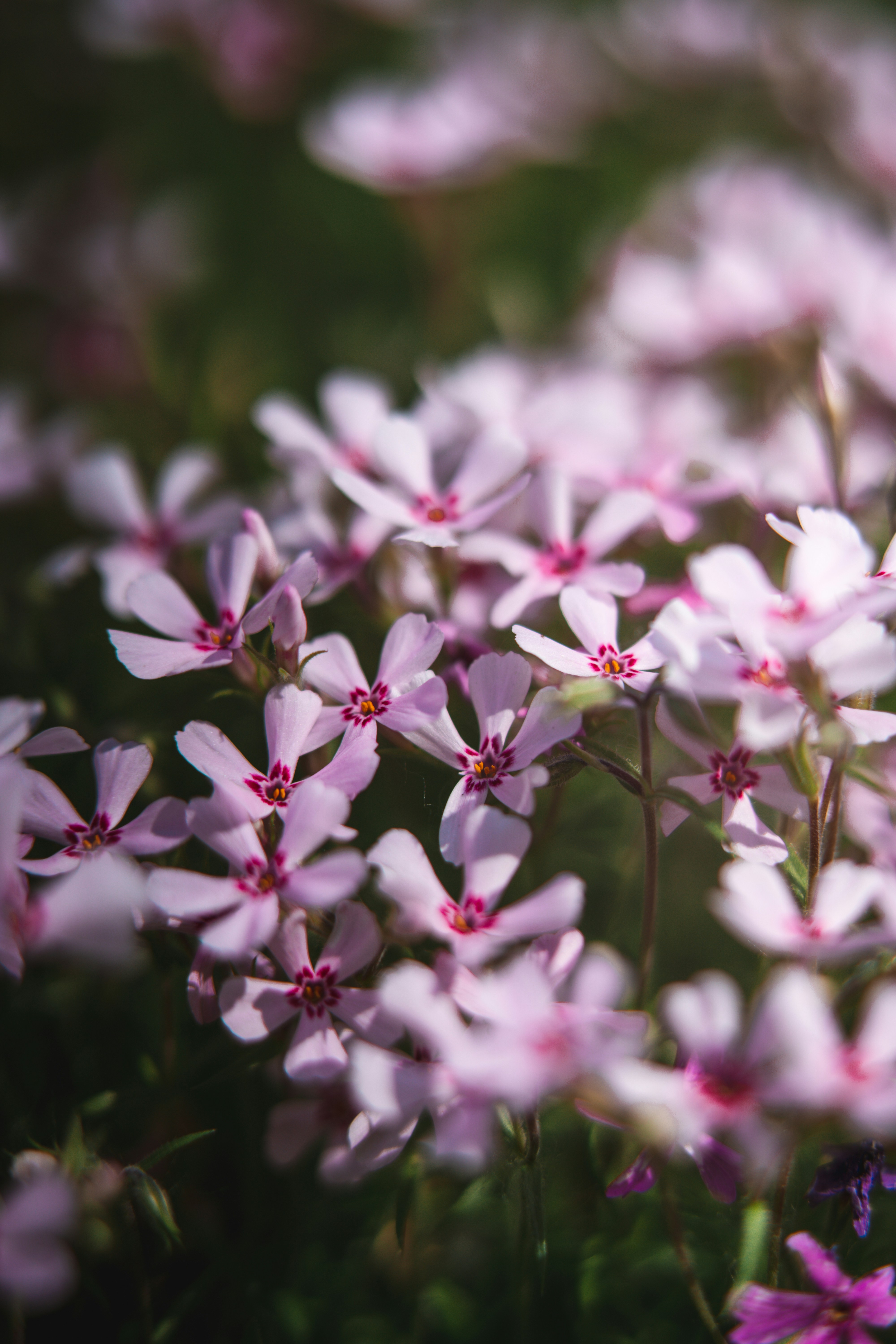 Photo by anamnesis33