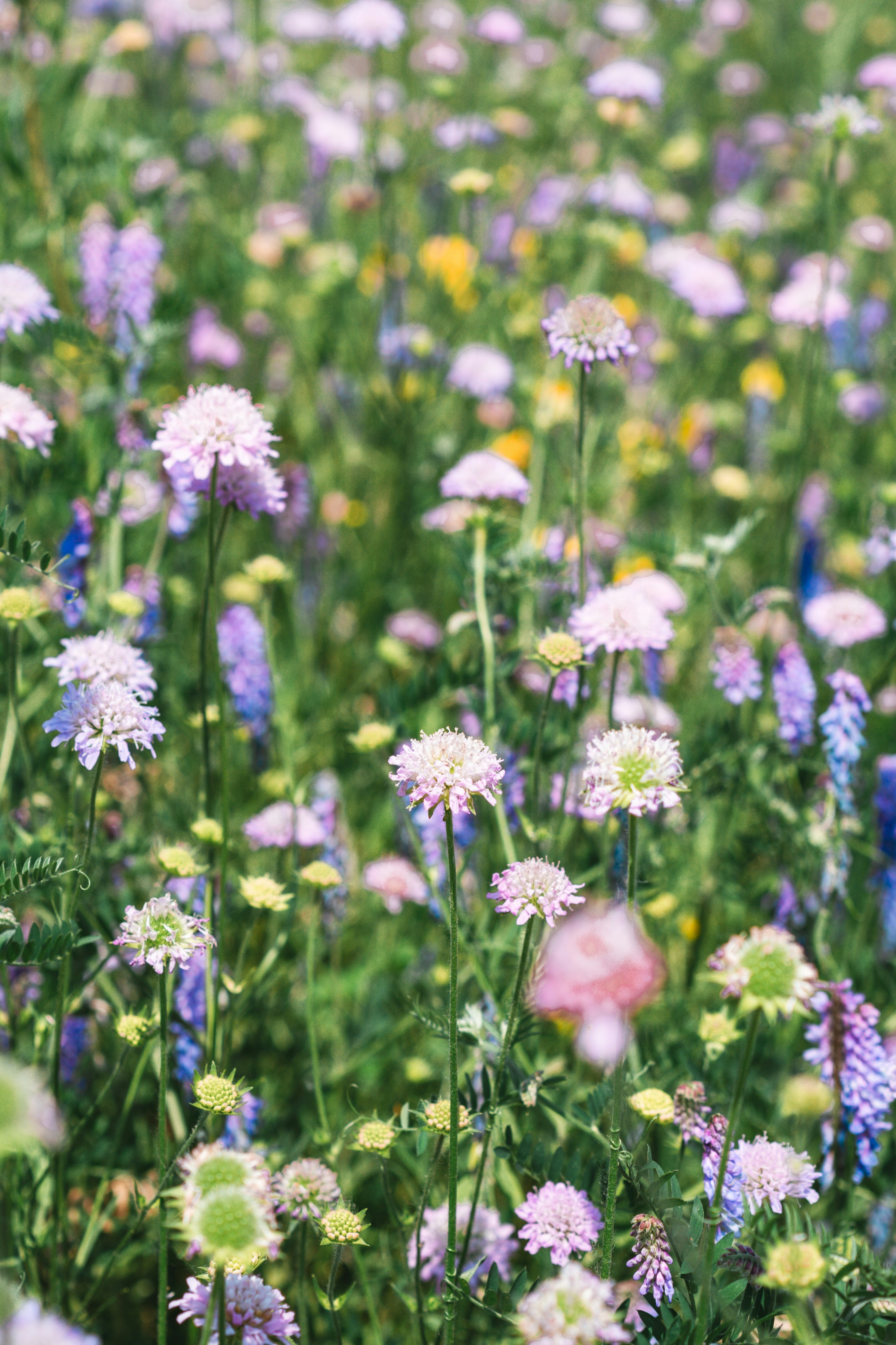 Photo by anamnesis33