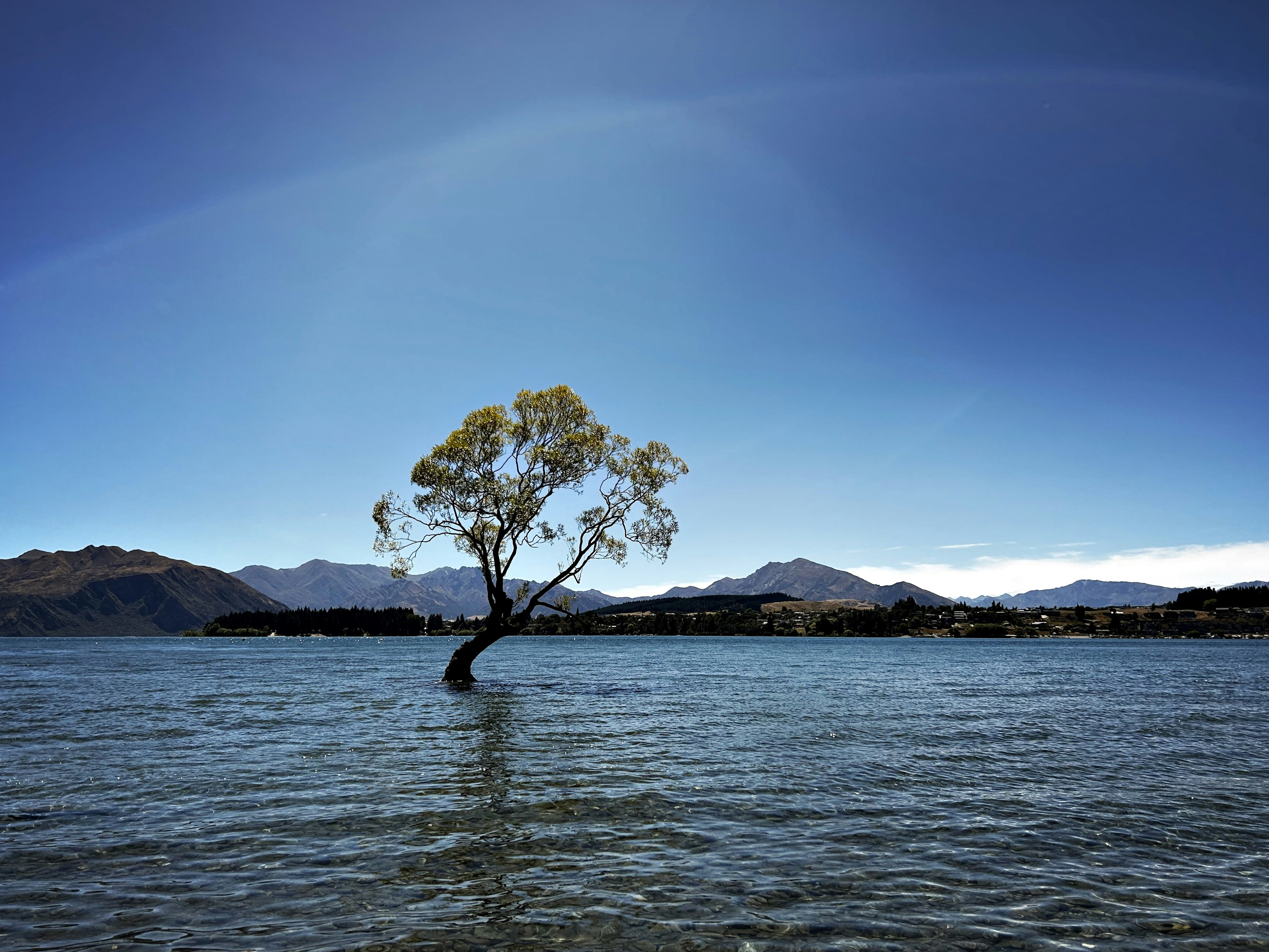 Photo by williamwallace