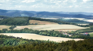 A view of the countryside from a hill
