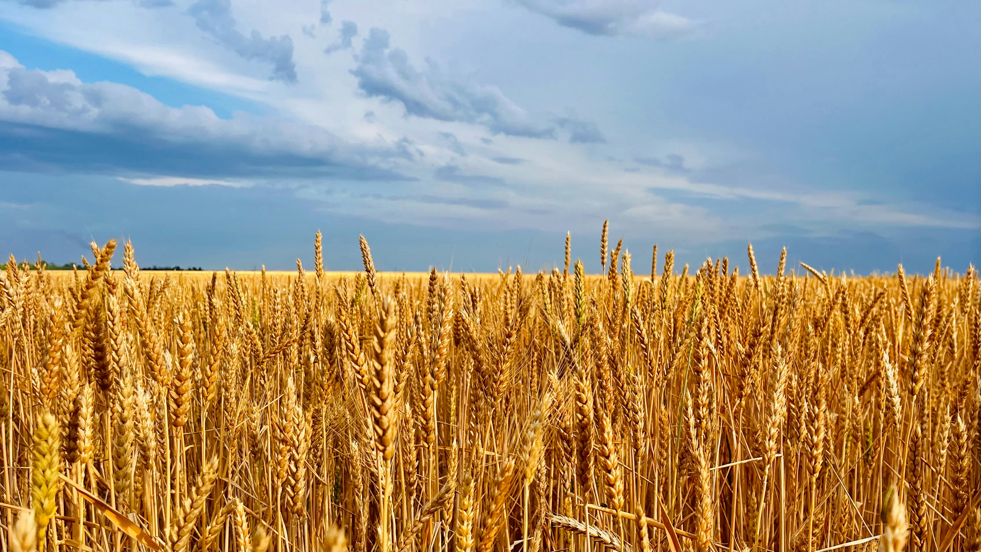 Photo by andrii_motygullin