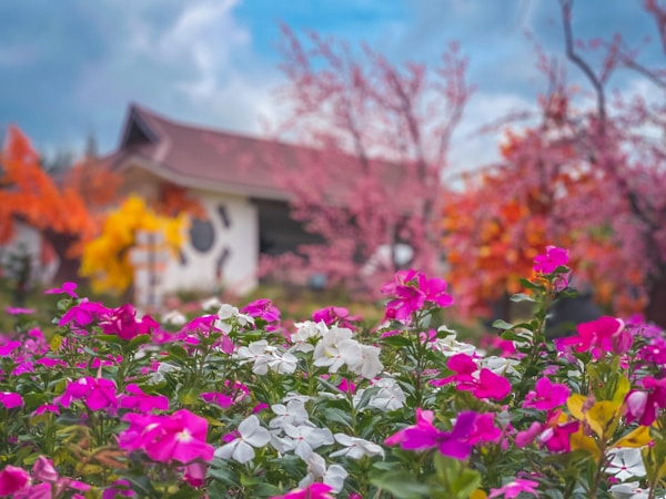 Discover Kanchanaburi: A Traveler's Guide