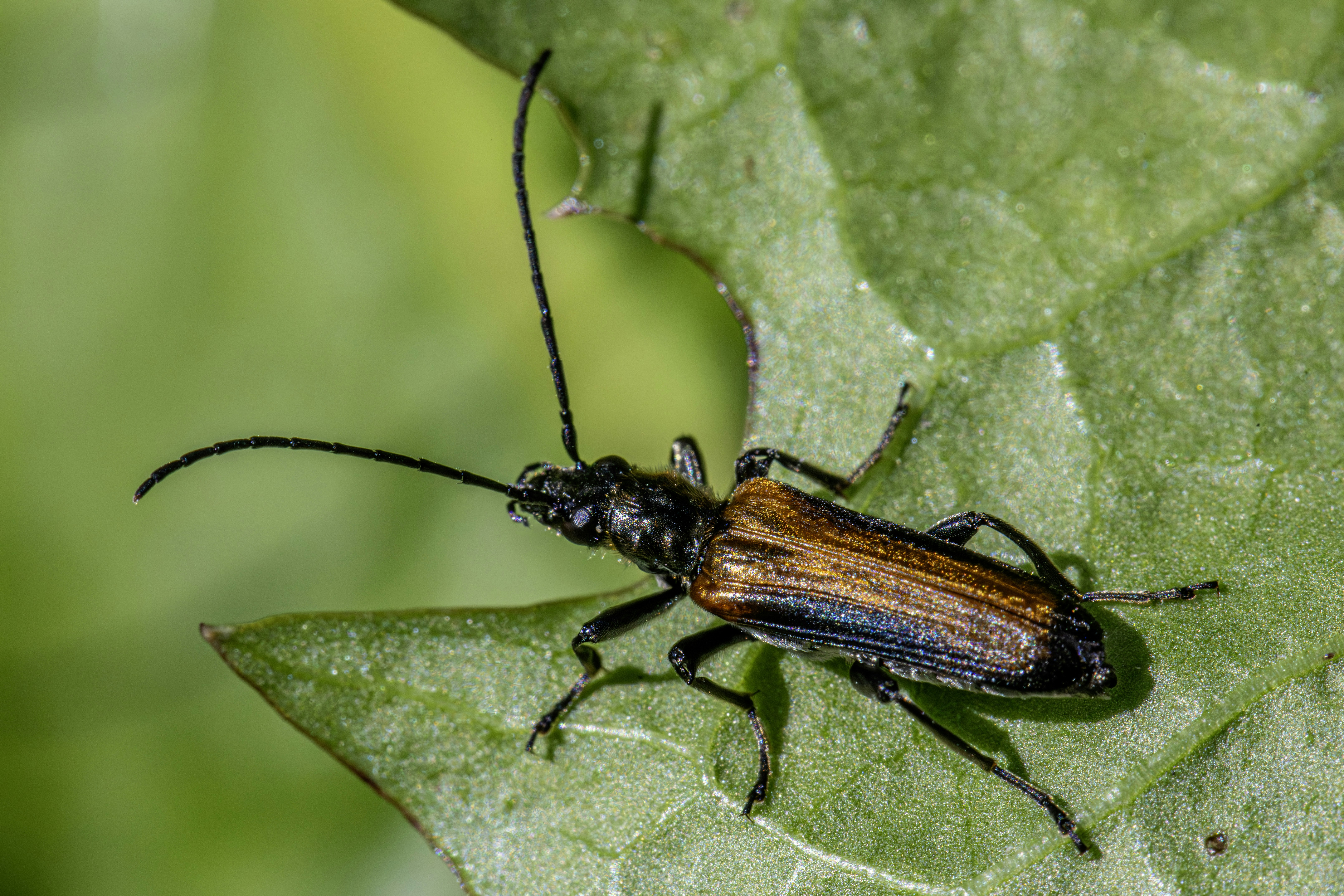 Photo by erik_karits