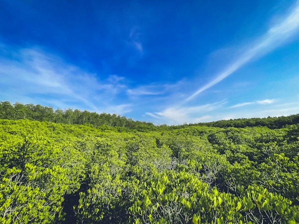 Rayong Weather and Best Times to Visit Guide
