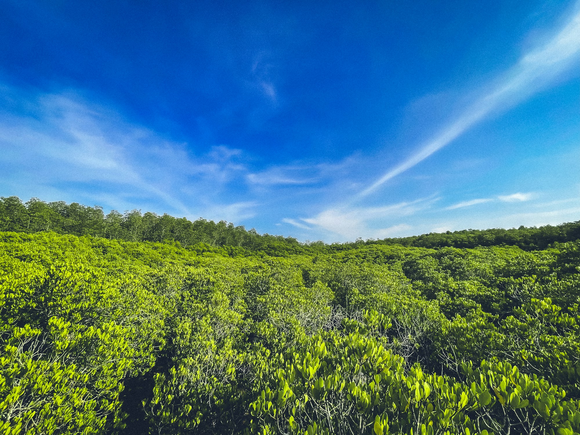 Exploring Rayong's Authentic Cuisine and Dining Scene
