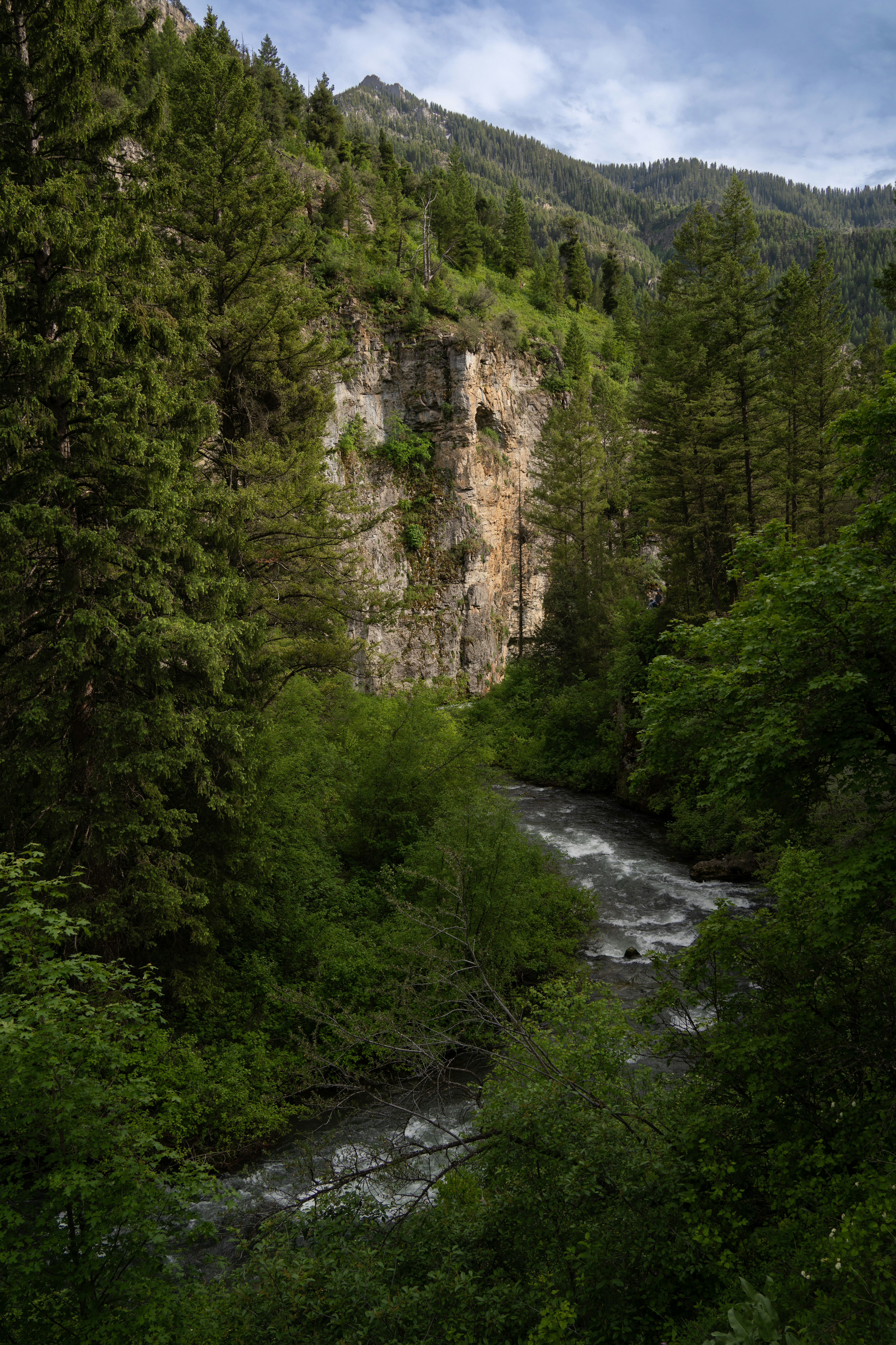 Photo by alexmoliski