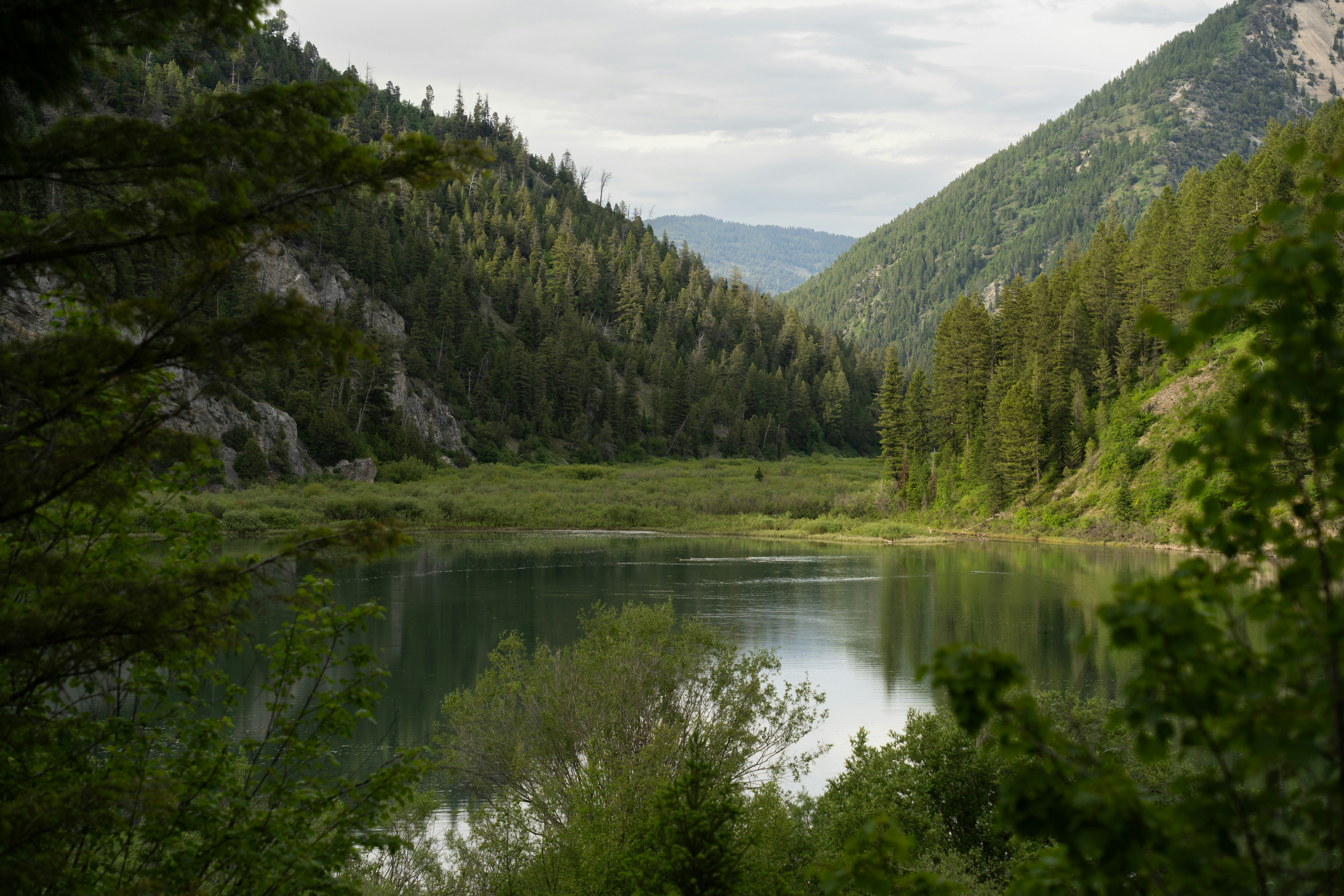 Photo by alexmoliski