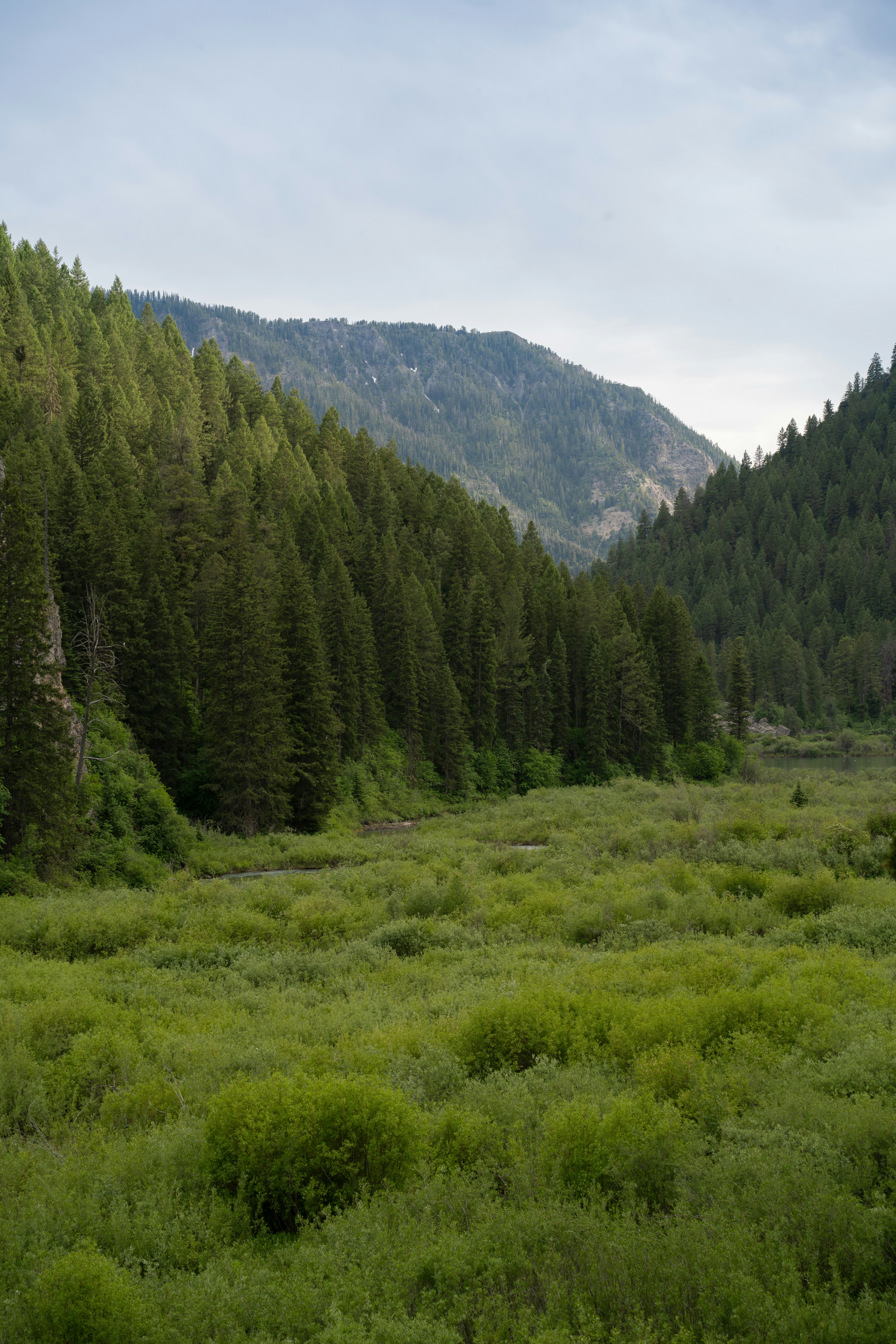 Photo by alexmoliski