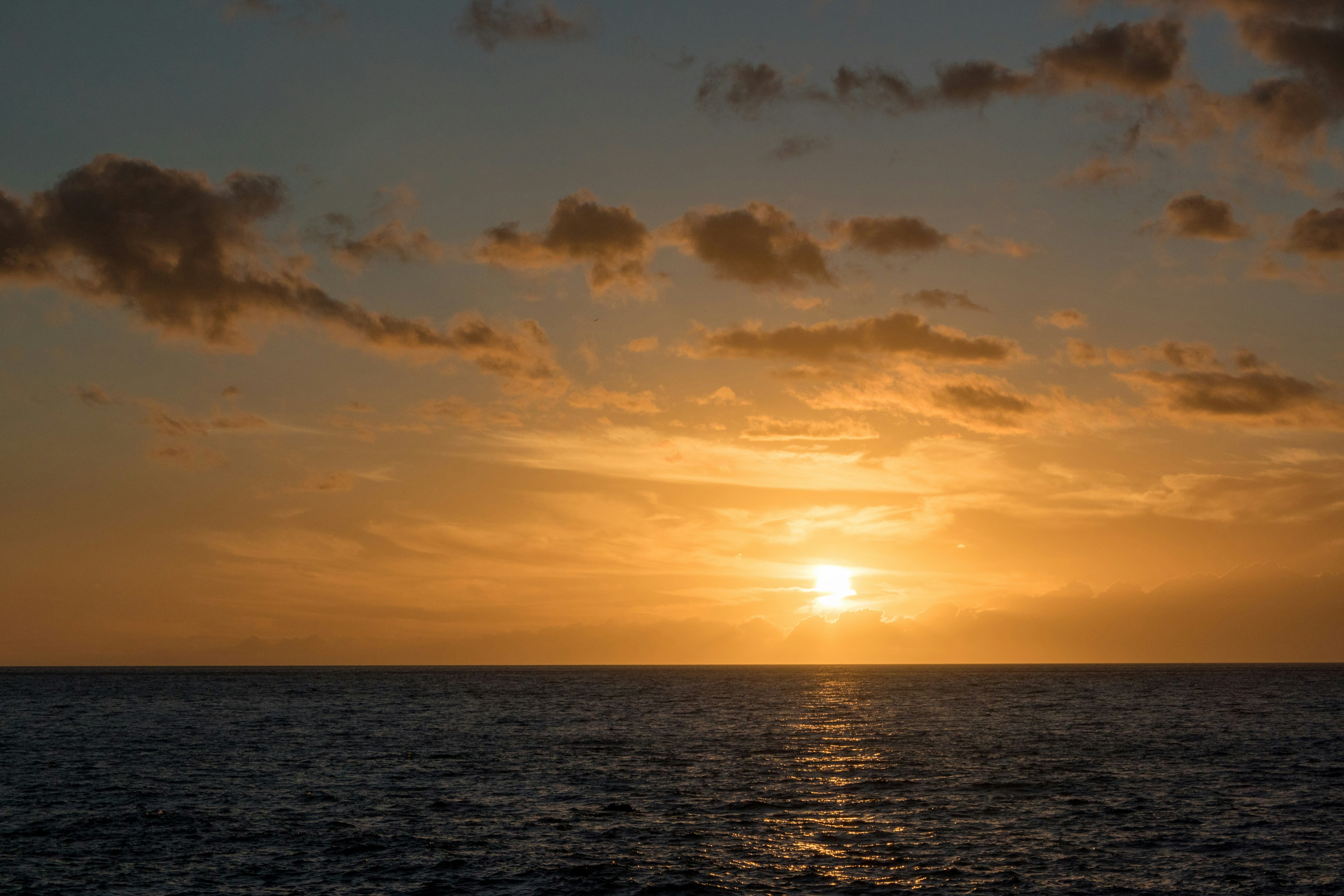 Photo by thirdcoastdad