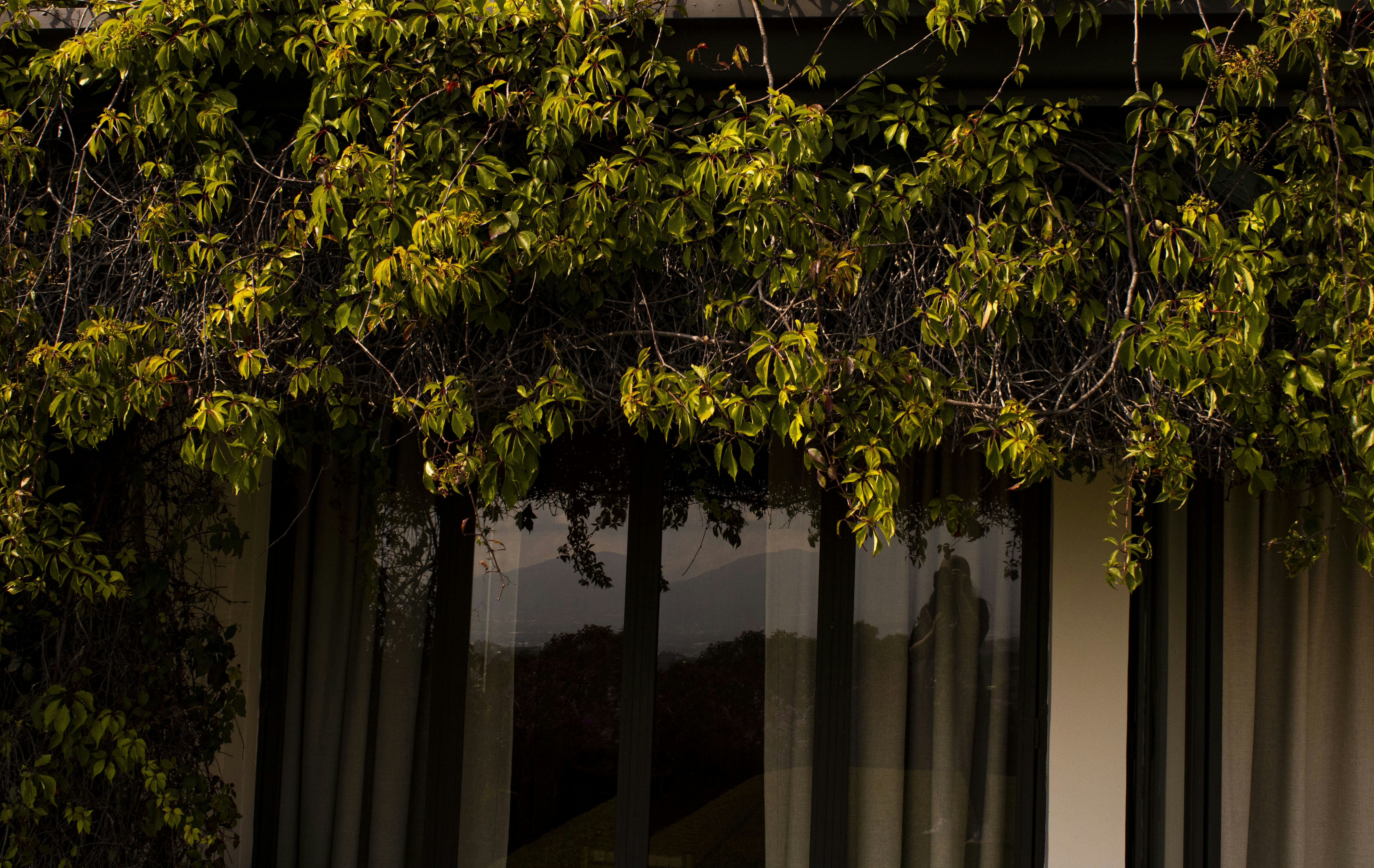 Photo by paigelaineelmer_photos