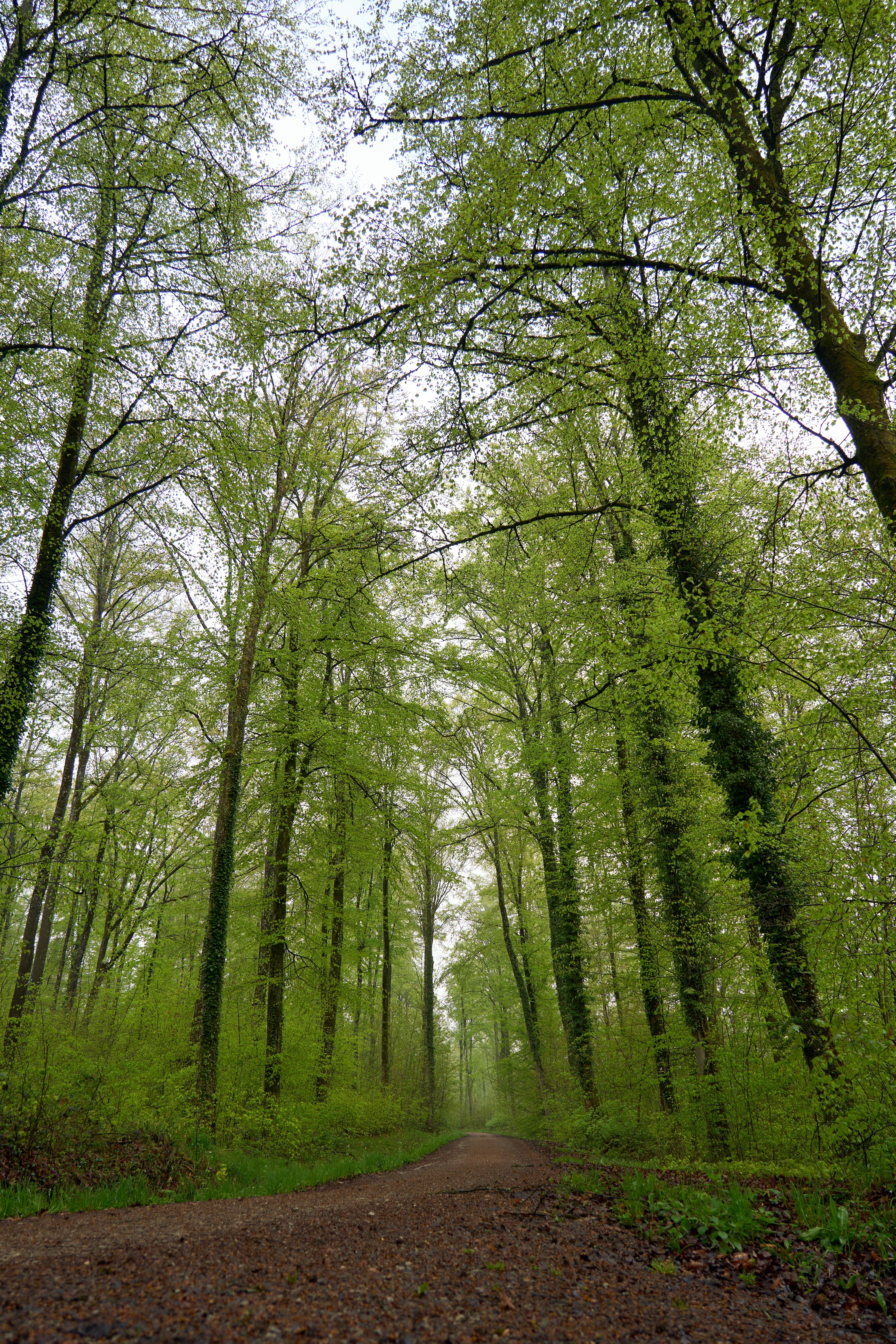 Photo by wolfgang_hasselmann